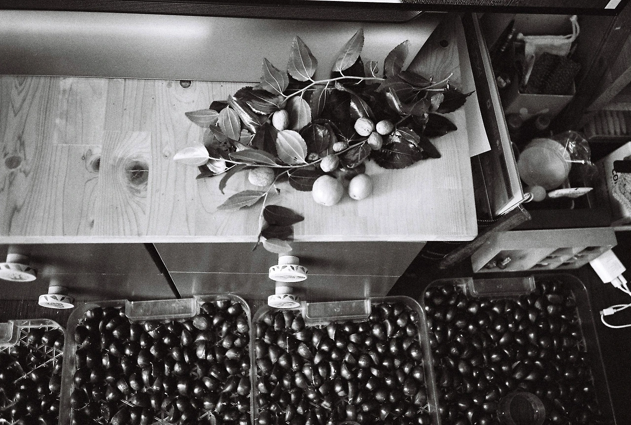 ~9월 10일 코닥 프로이미지 400 (11).JPG