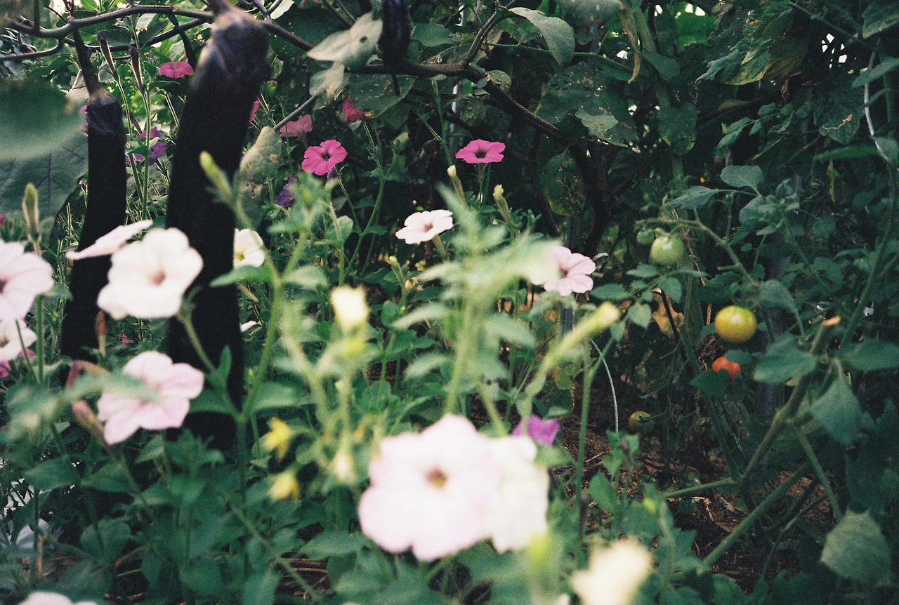 ~ 8월 20일 (12).JPG