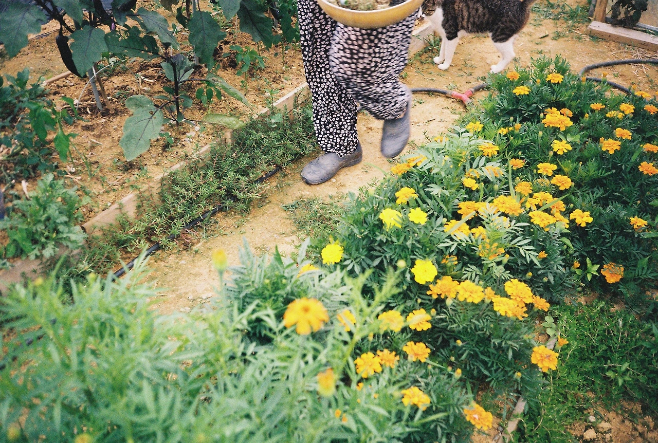 ~ 7월 22일 (3).JPG