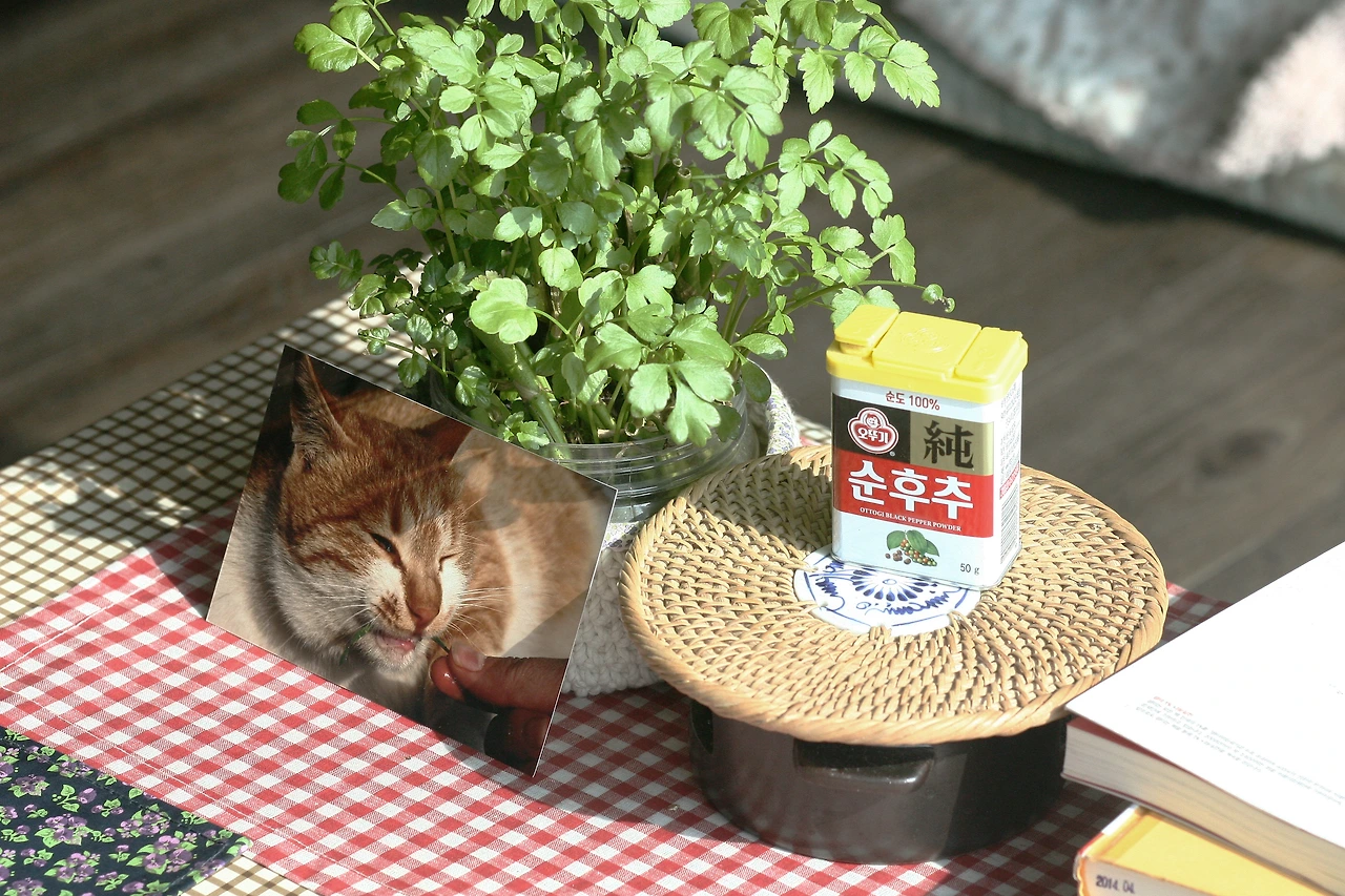 2월 9일 금요일 오후 1시.JPG