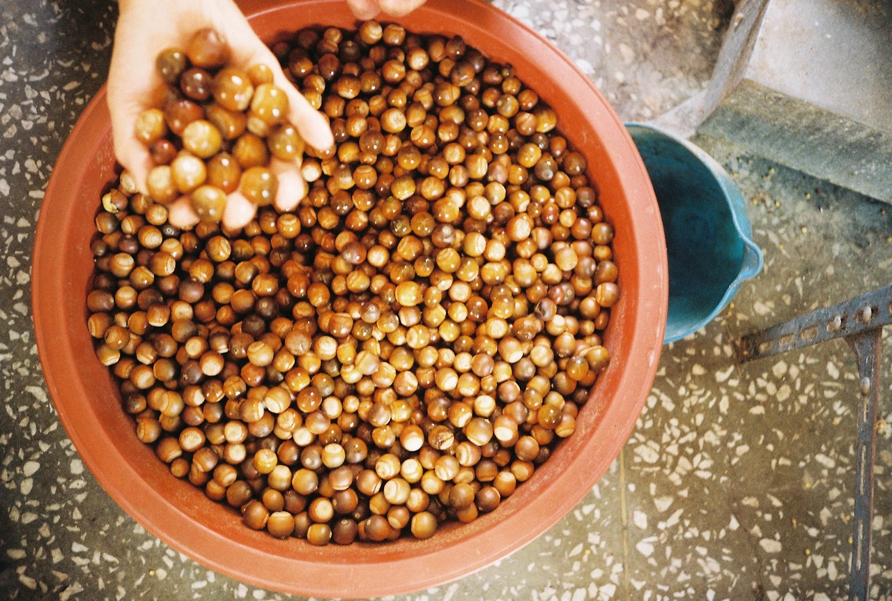 ~10월 22일 코닥 200 (6).JPG