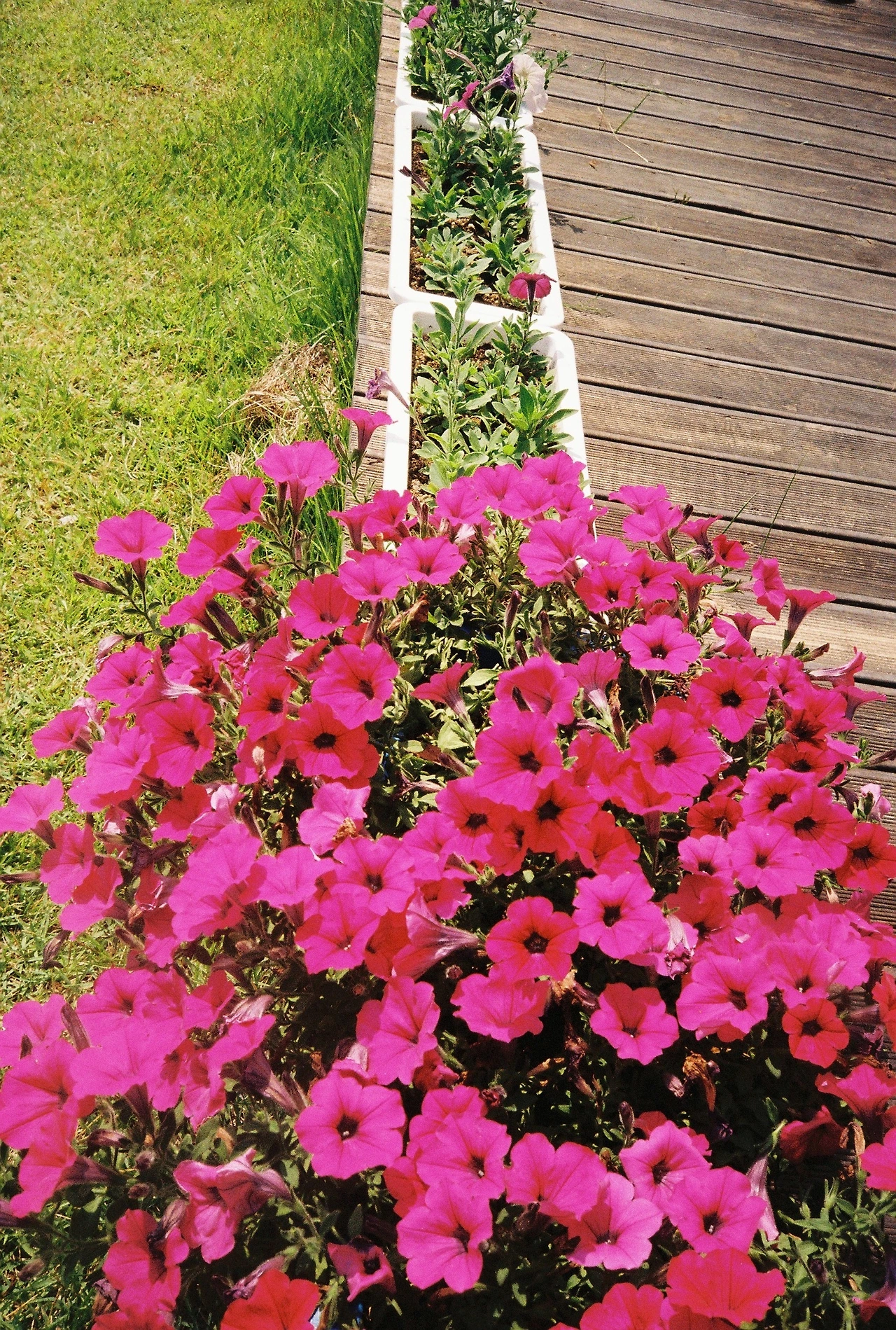 ~ 6월 22일 (3).JPG