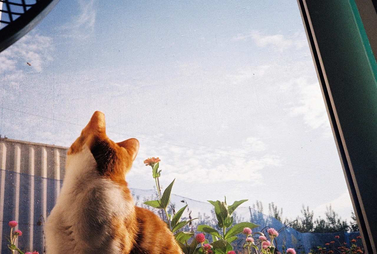 ~10월 8일 코닥 200 (28).JPG