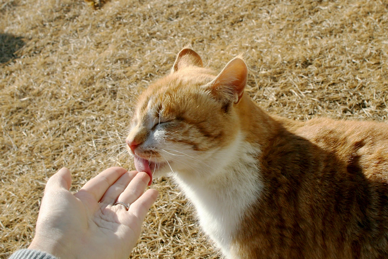 12월 19일 화요일 오후 3시.JPG