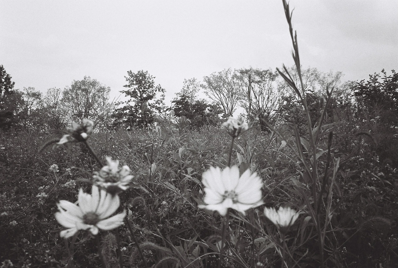 ~9월 10일 코닥 프로이미지 400 (18).JPG