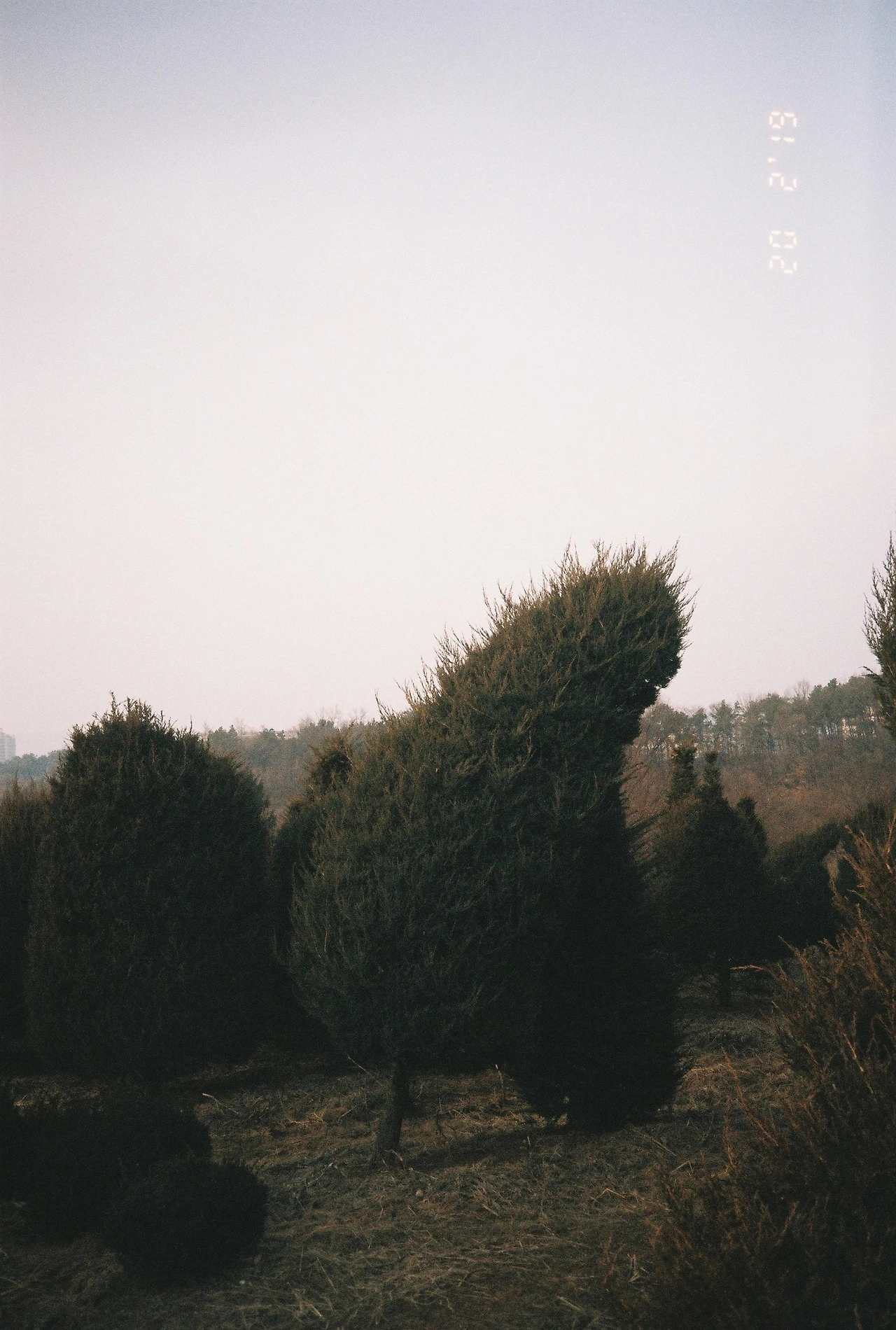 ~ 3월 후지 200_2롤 (17).JPG