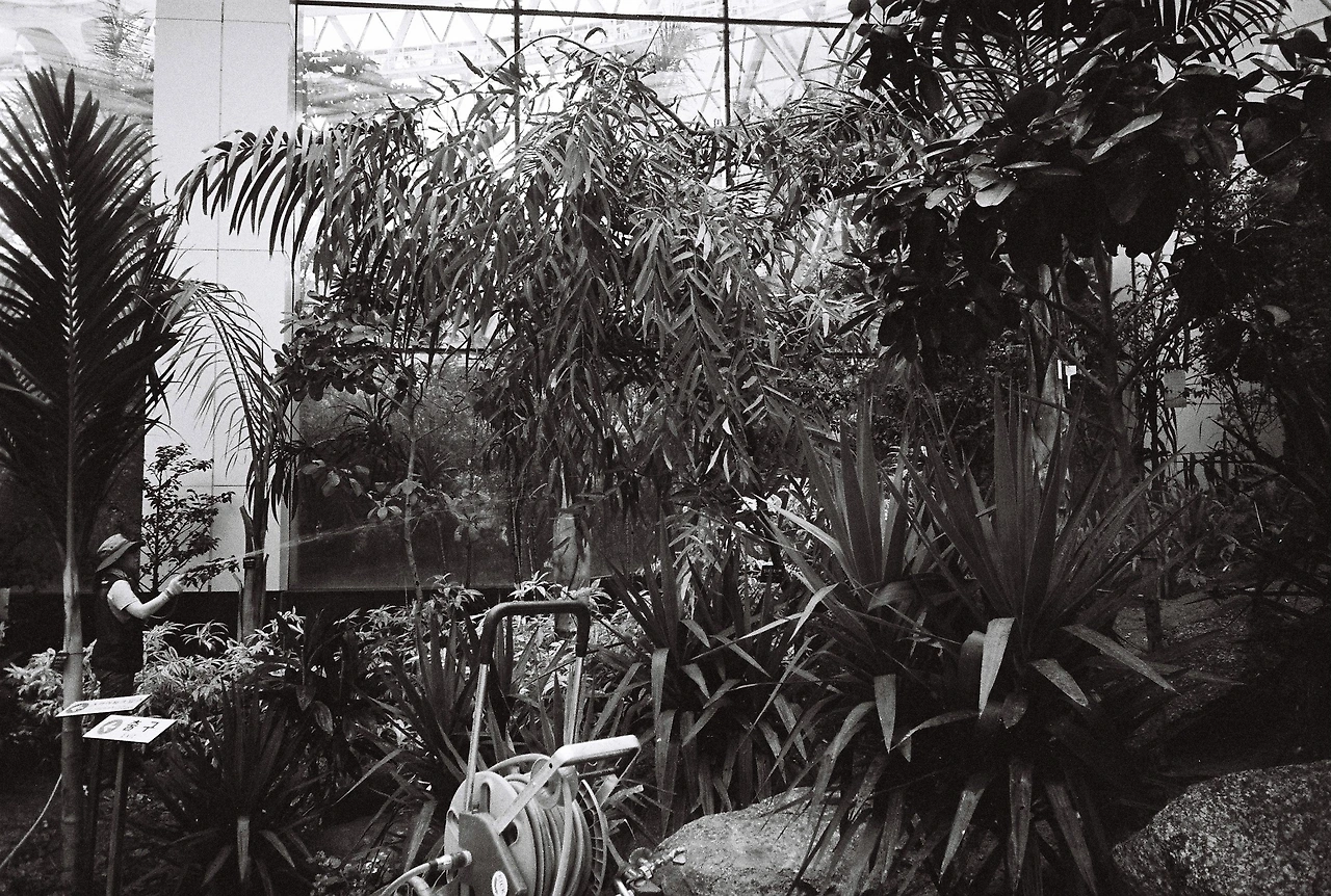 ~9월 10일 코닥 프로이미지 400 (13).JPG