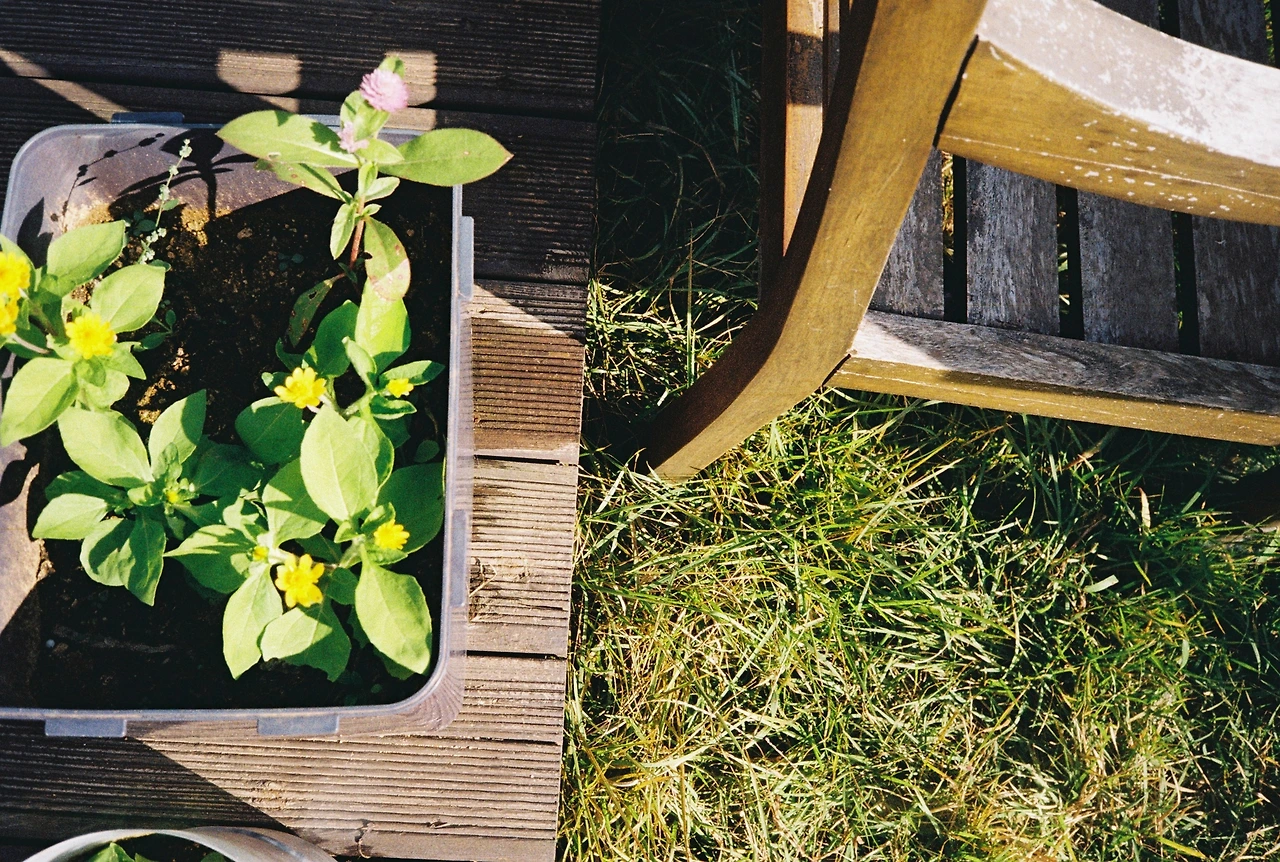 코닥200-1 (34).JPG