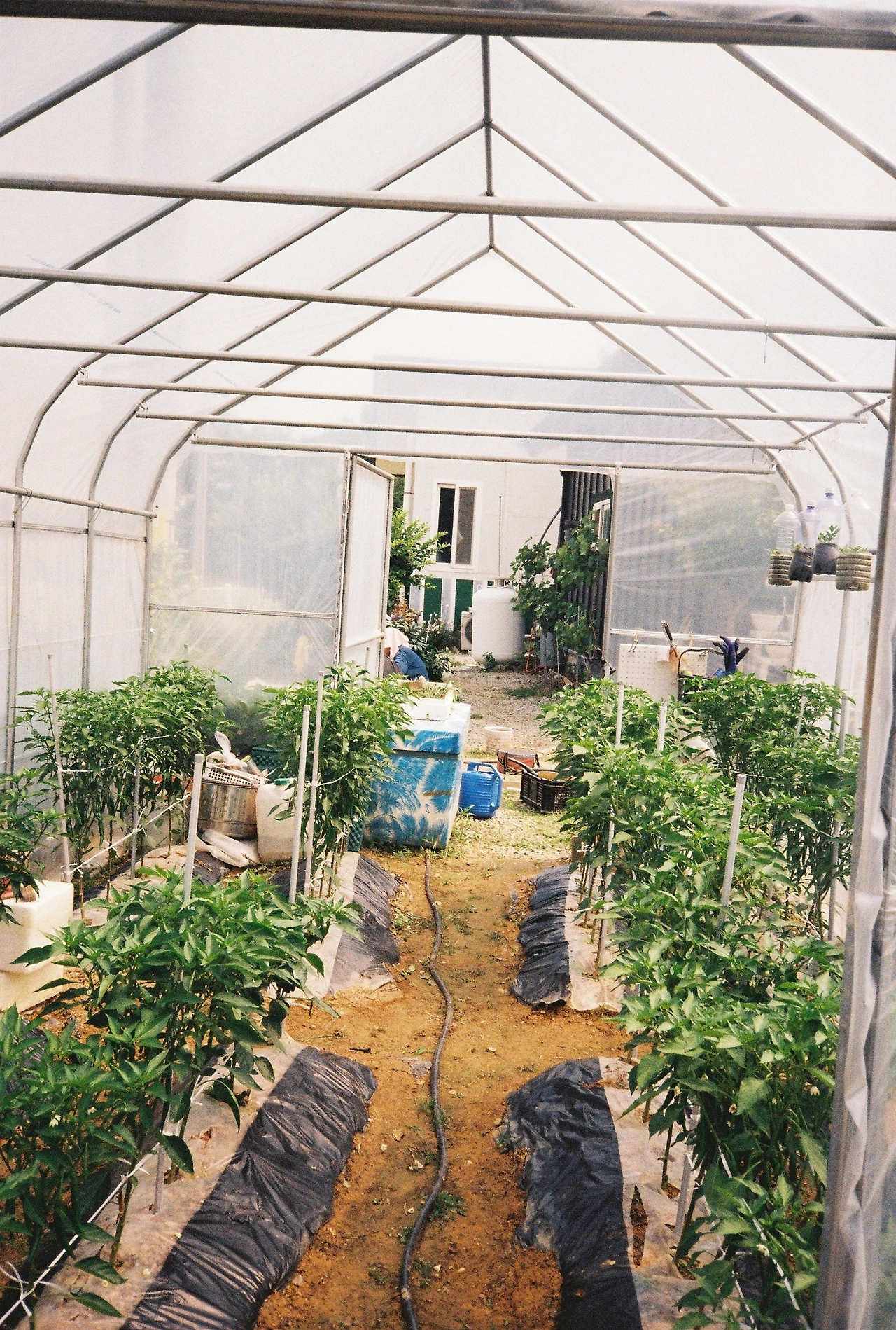 ~ 6월 22일 (7).JPG