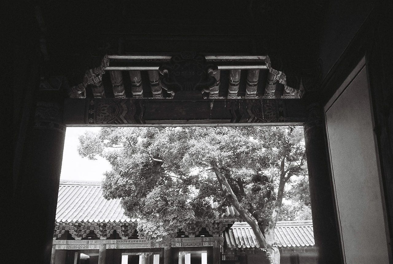 ~9월 10일 코닥 프로이미지 400 (6).JPG