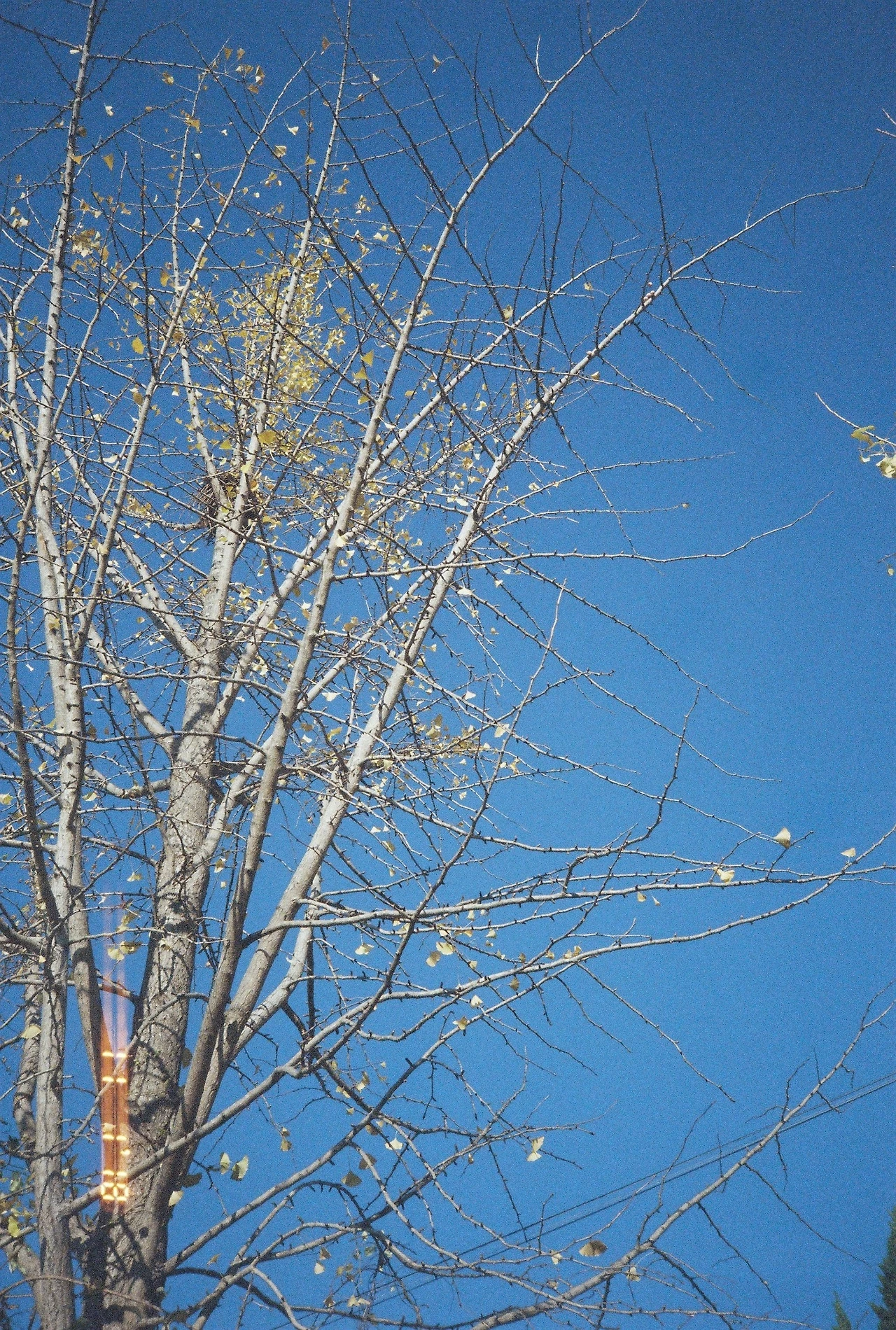 11월 2일 금요일 (9).JPG