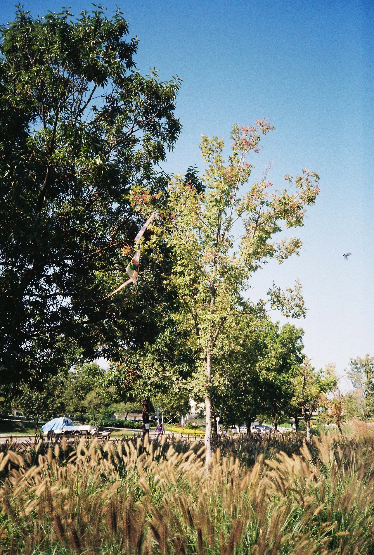 ~10월 22일 코닥 200 (19).JPG