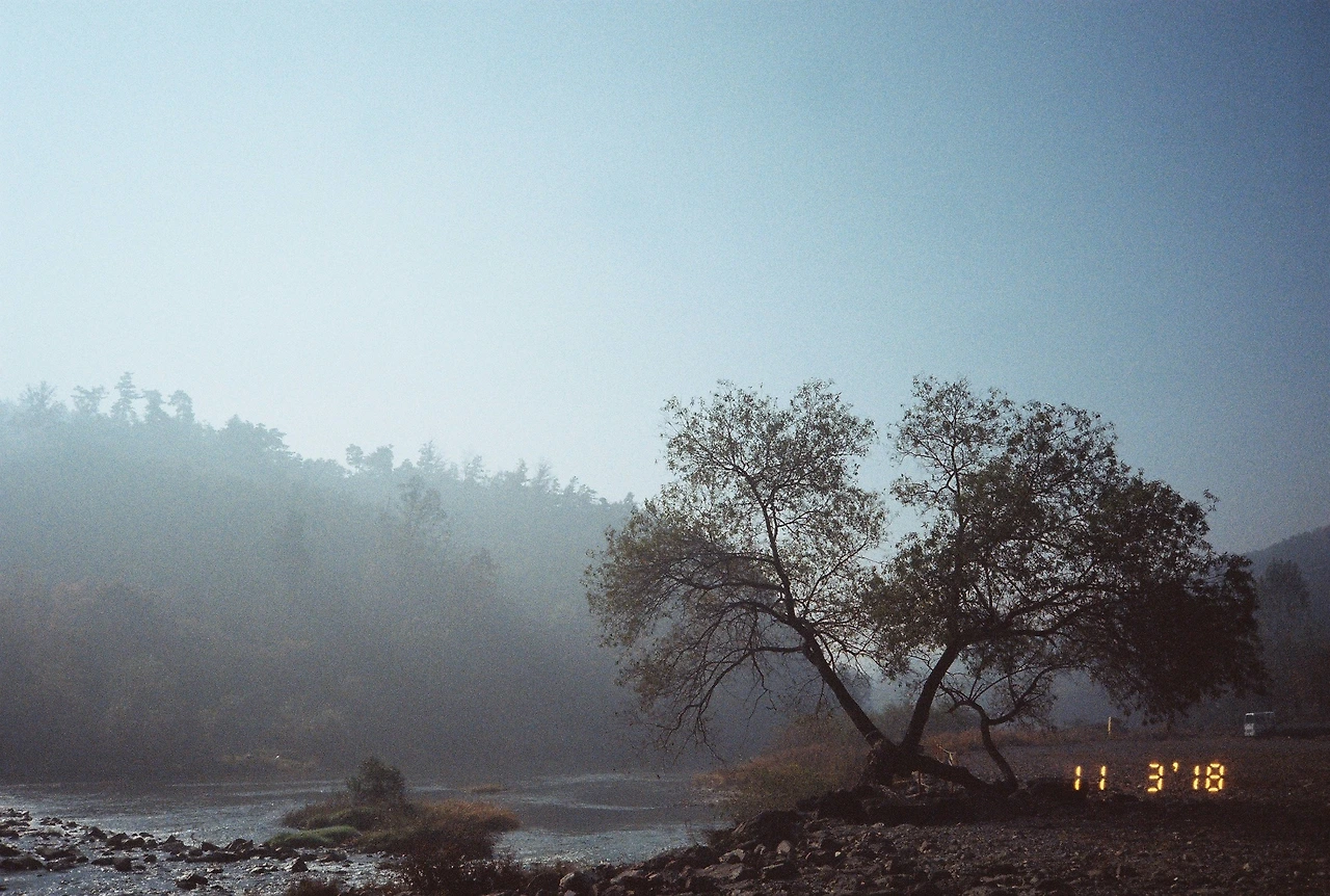 11월 4일 일요일 (4).JPG