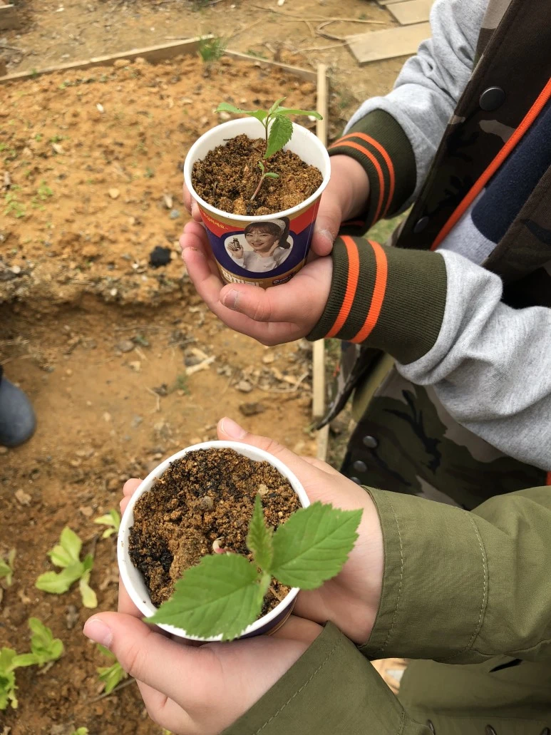 IMG_1362.JPG?type=w773