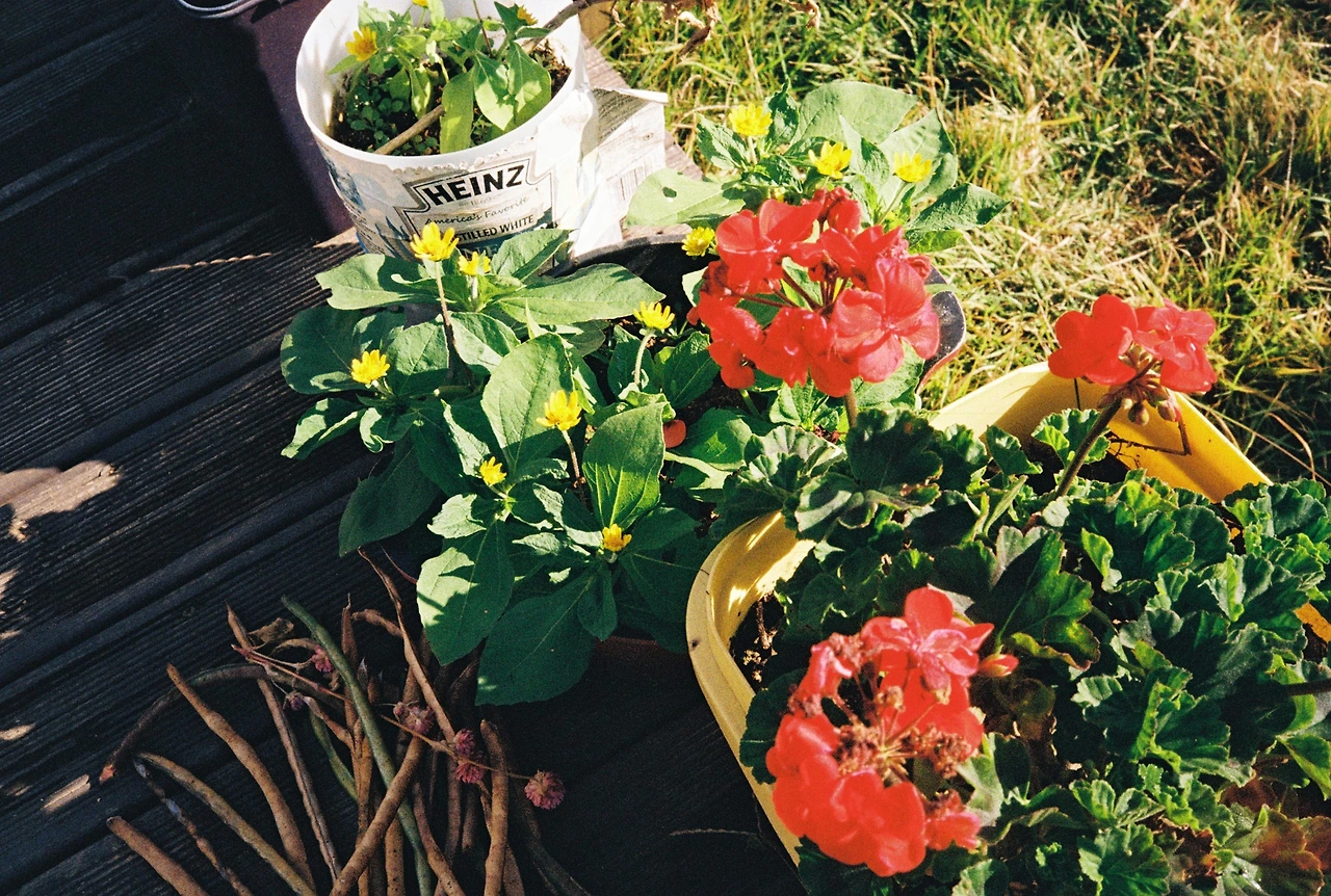 코닥200-1 (36).JPG