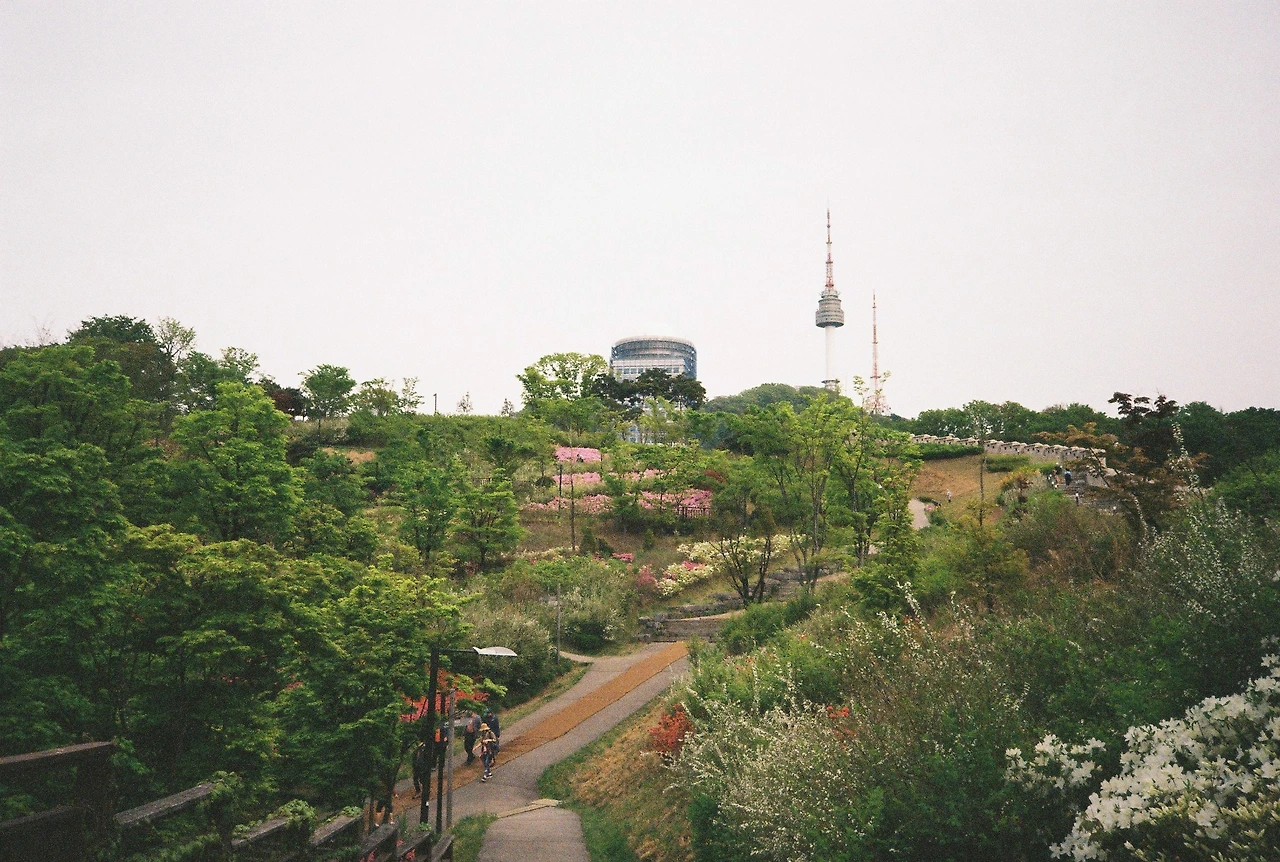 ~ 4월 27일 쯤 코닥200_2롤 (3).JPG