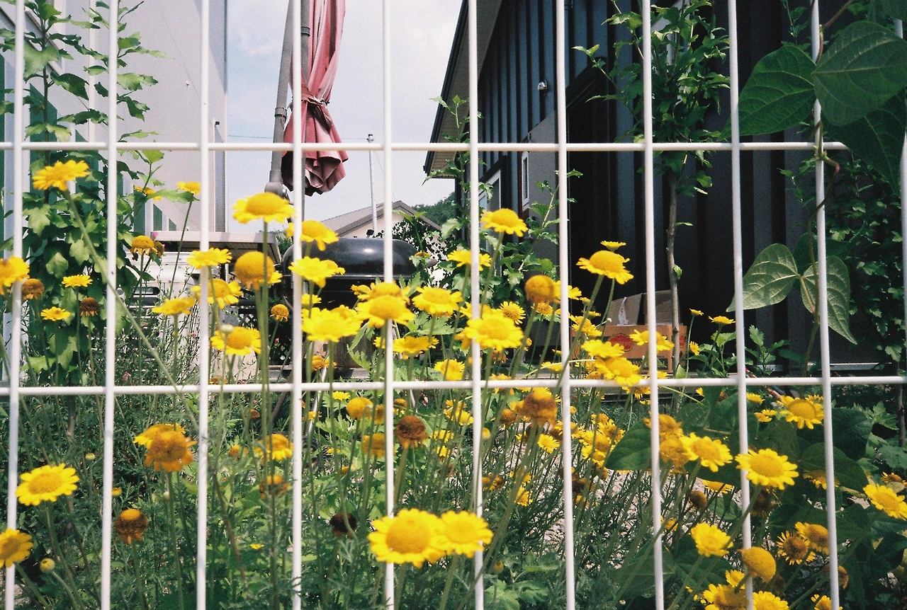 ~ 7월 6일 쯤 (3).JPG