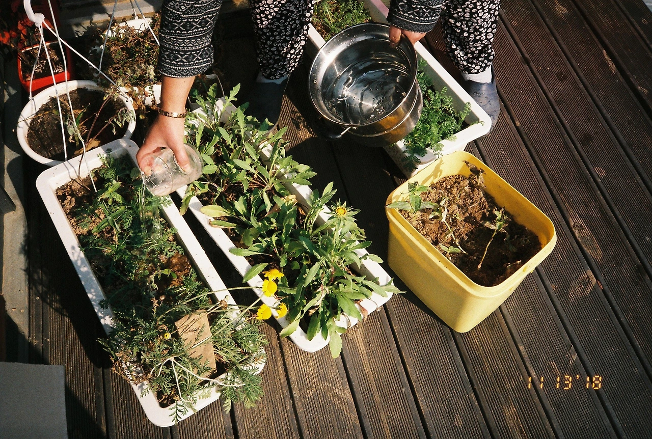 11월 14일 수요일.JPG