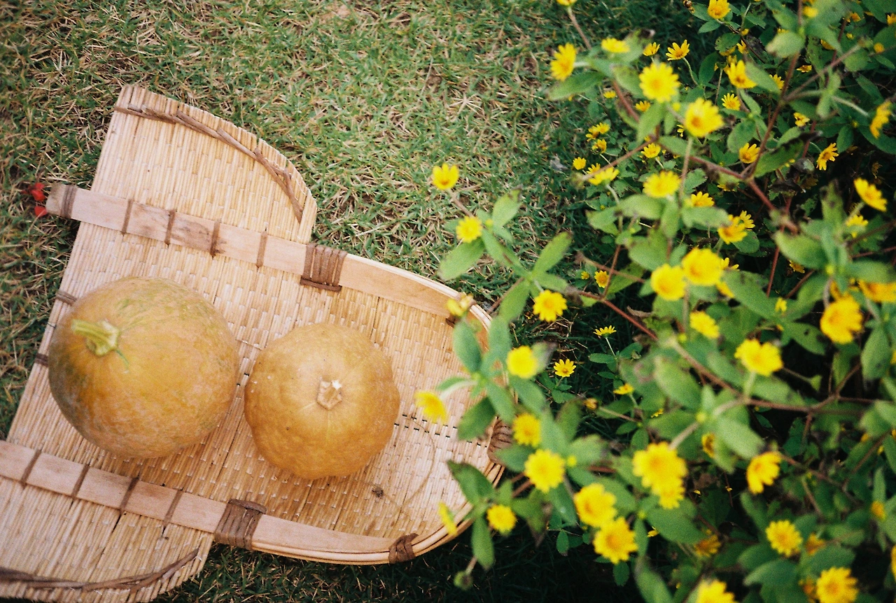 ~10월 22일 코닥 200 (13).JPG