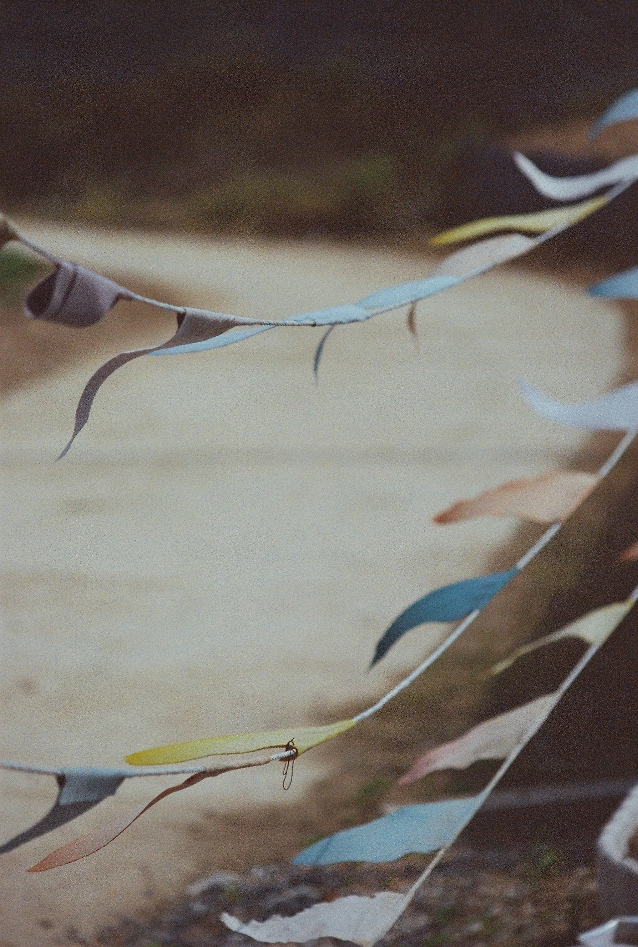 니콘필카 (10).JPG