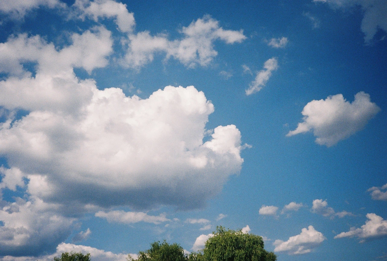 ~ 6월 22일 (2).JPG