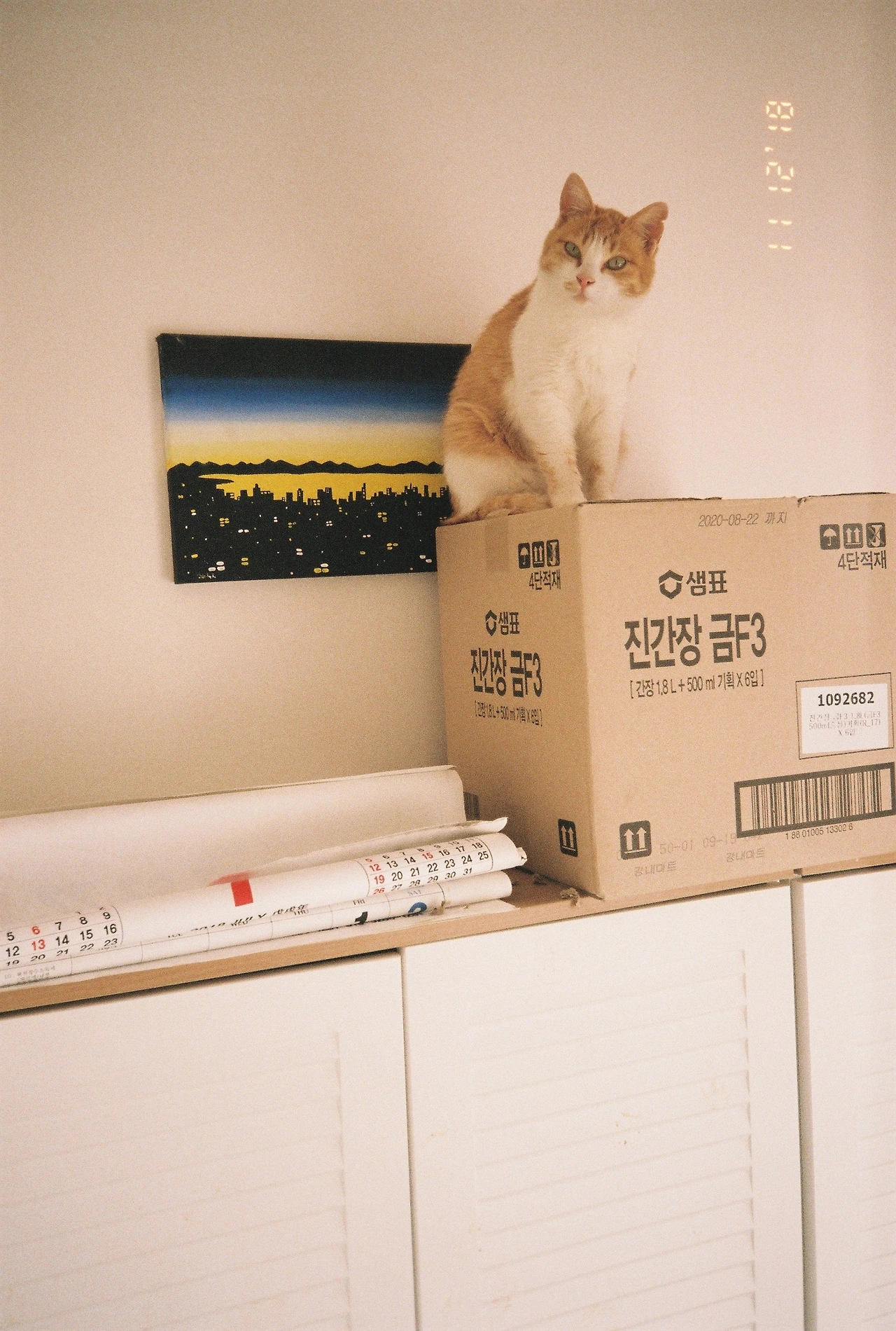 11월 13일 화요일 (1).JPG