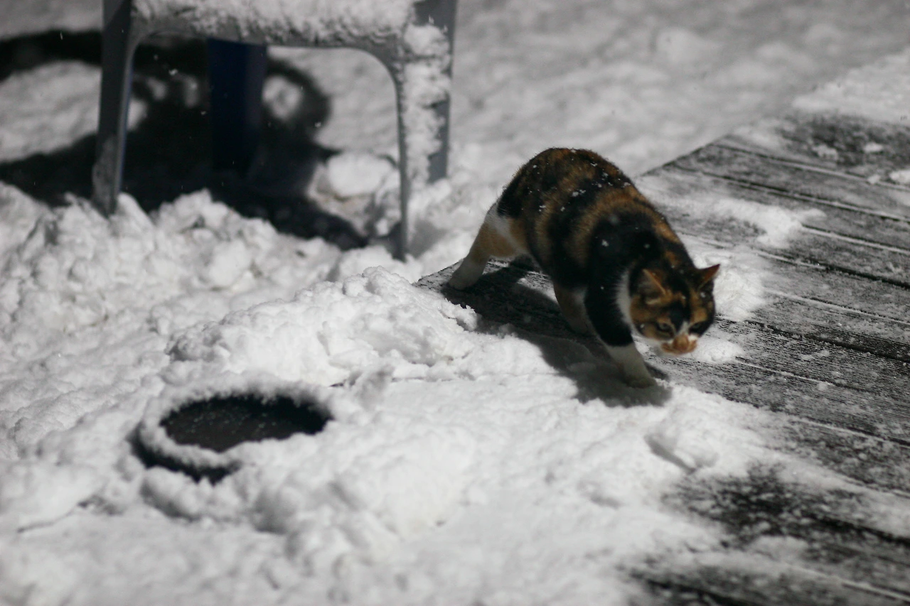 12월 20일 수요일 오후 9시_2.JPG