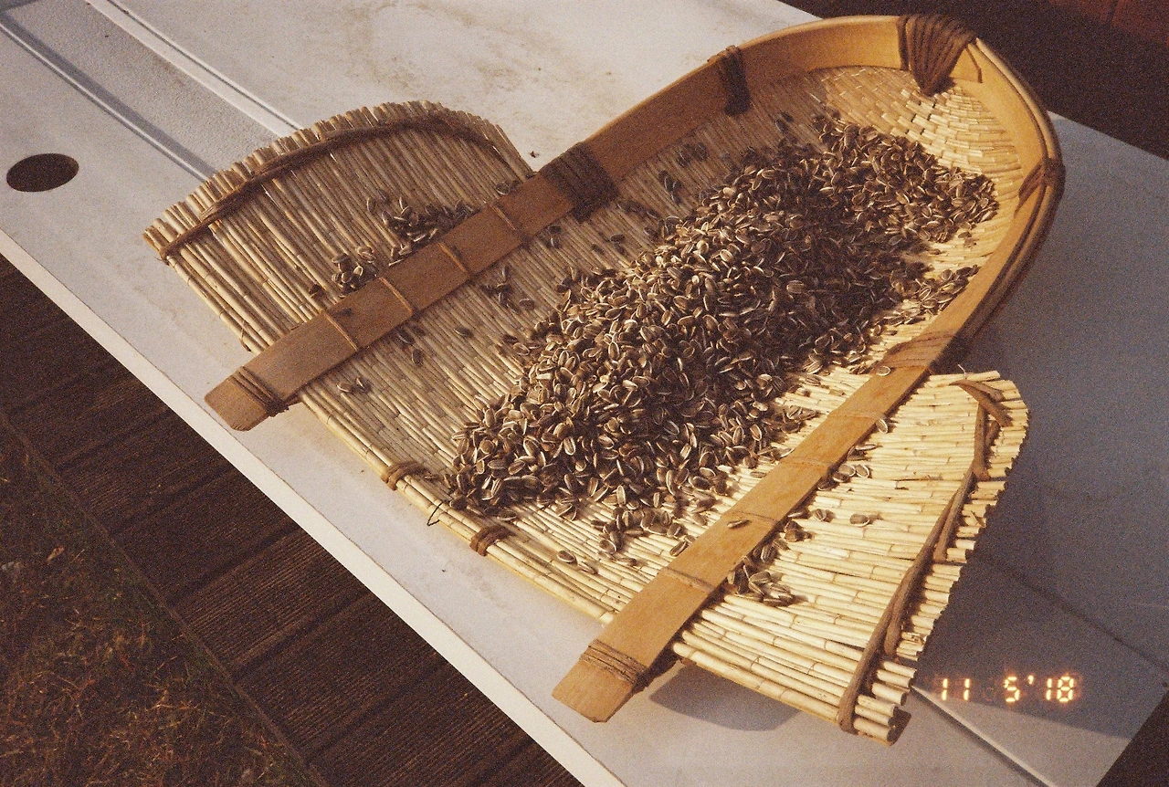 11월 6일 화요일.JPG