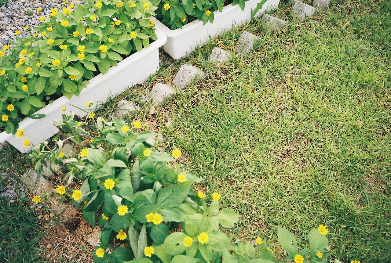 ~ 7월 22일 (27).JPG