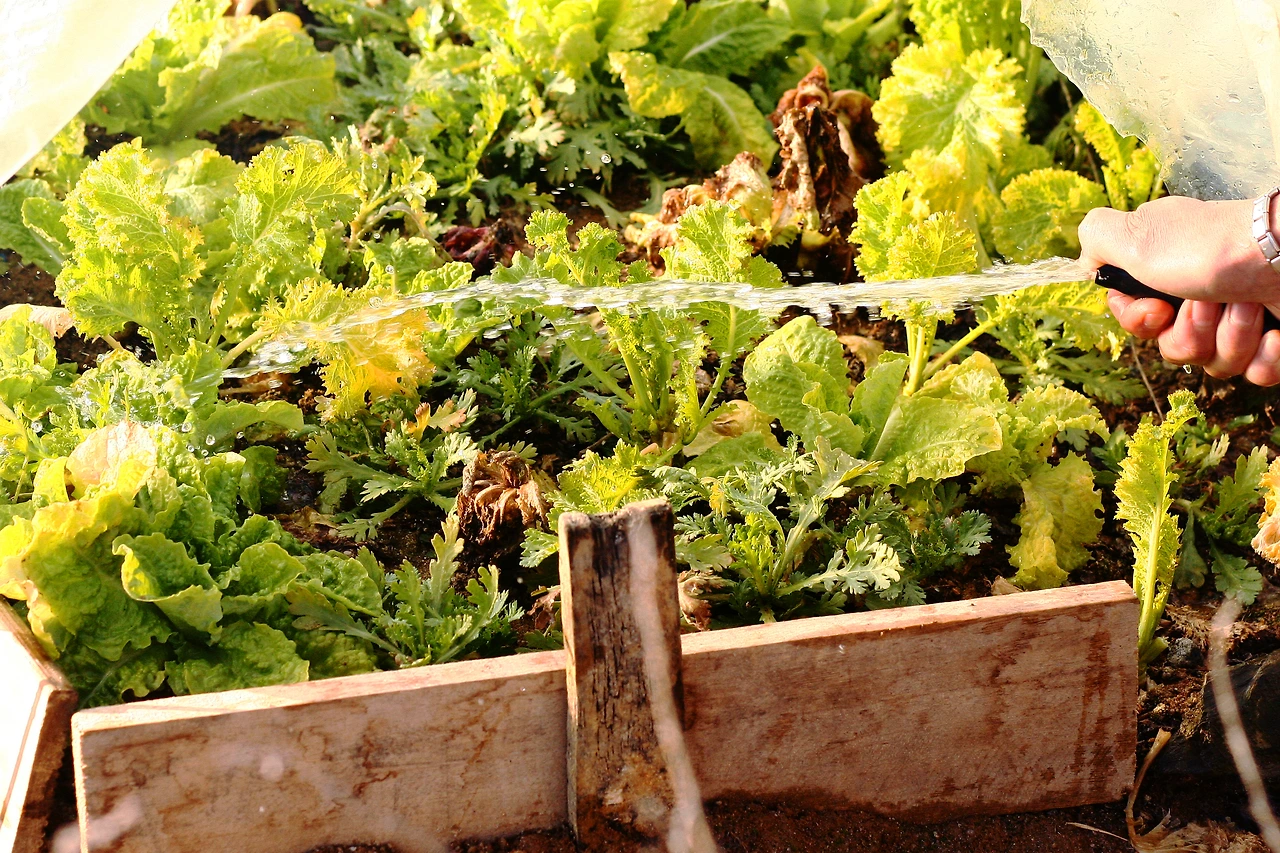 12월 25일 월요일 오후 4시_2.JPG