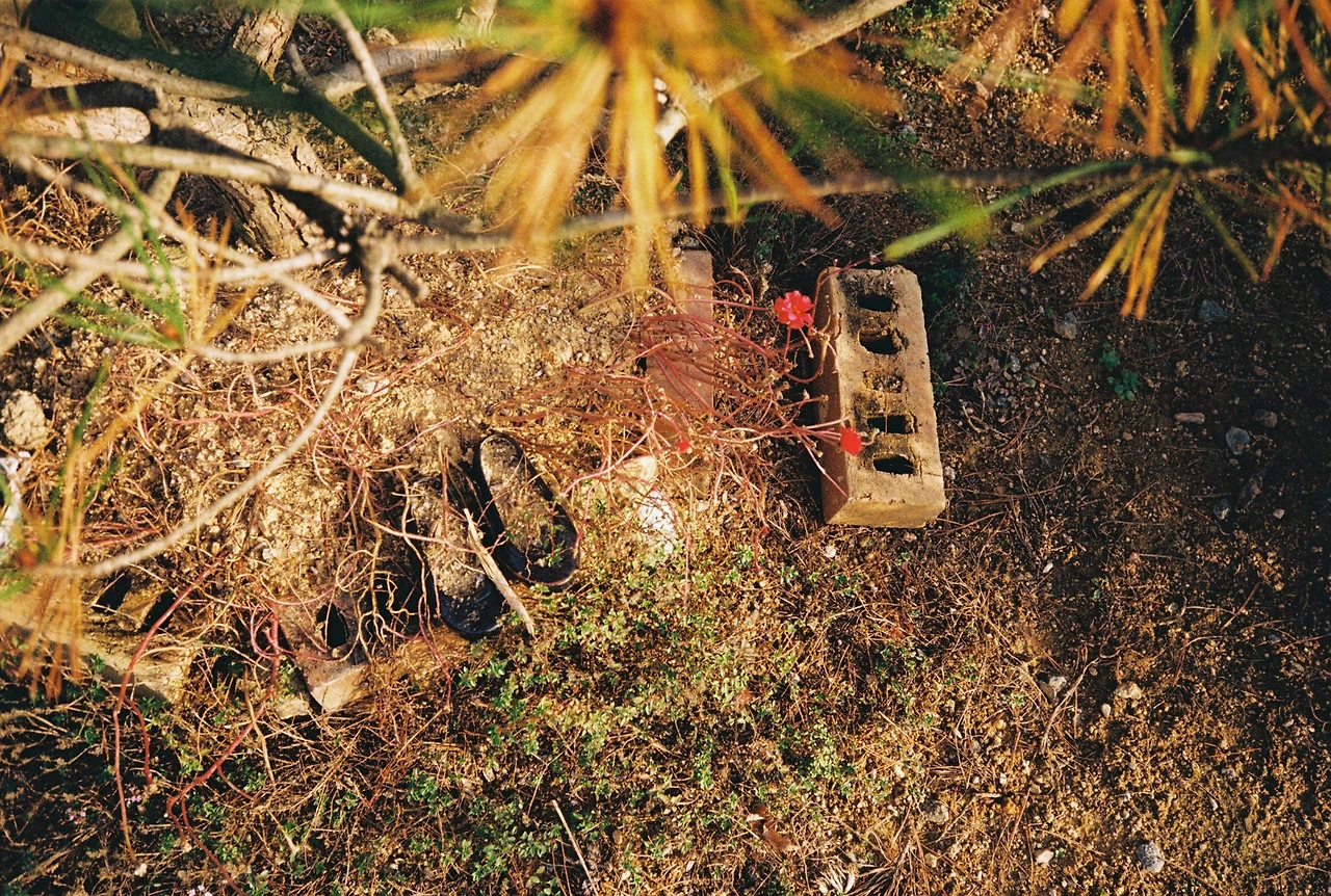 코닥200-1 (21).JPG