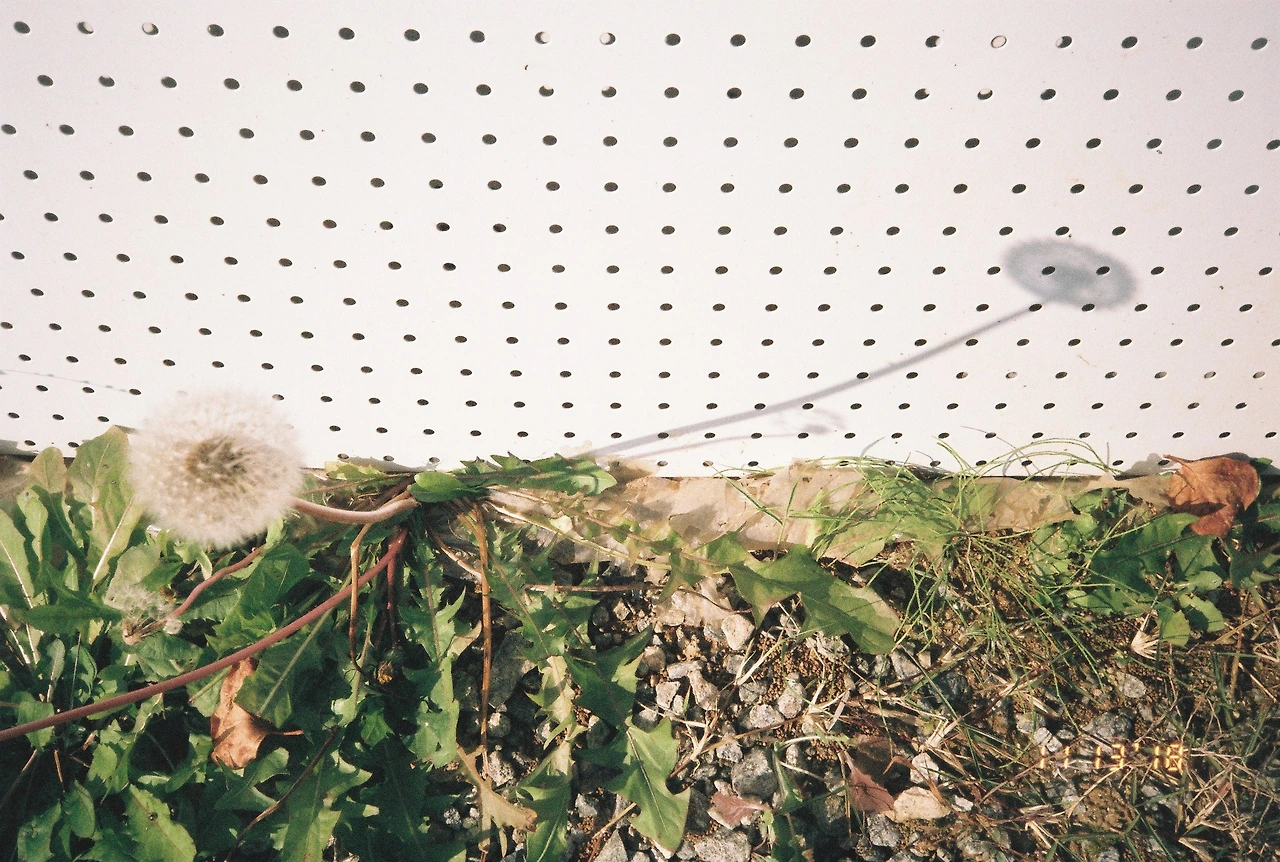 11월 14일 수요일 (2).JPG