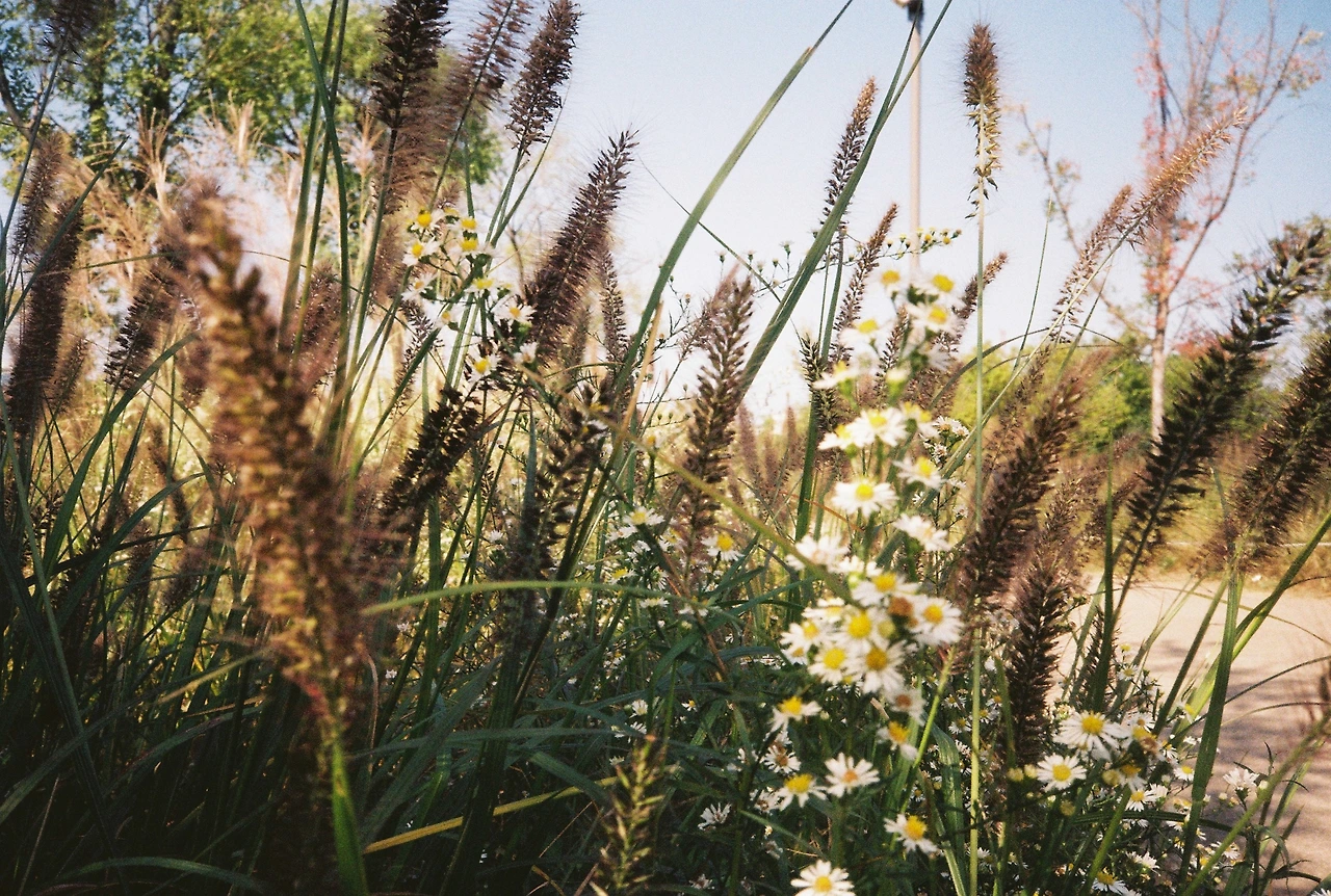 ~10월 22일 코닥 200 (17).JPG