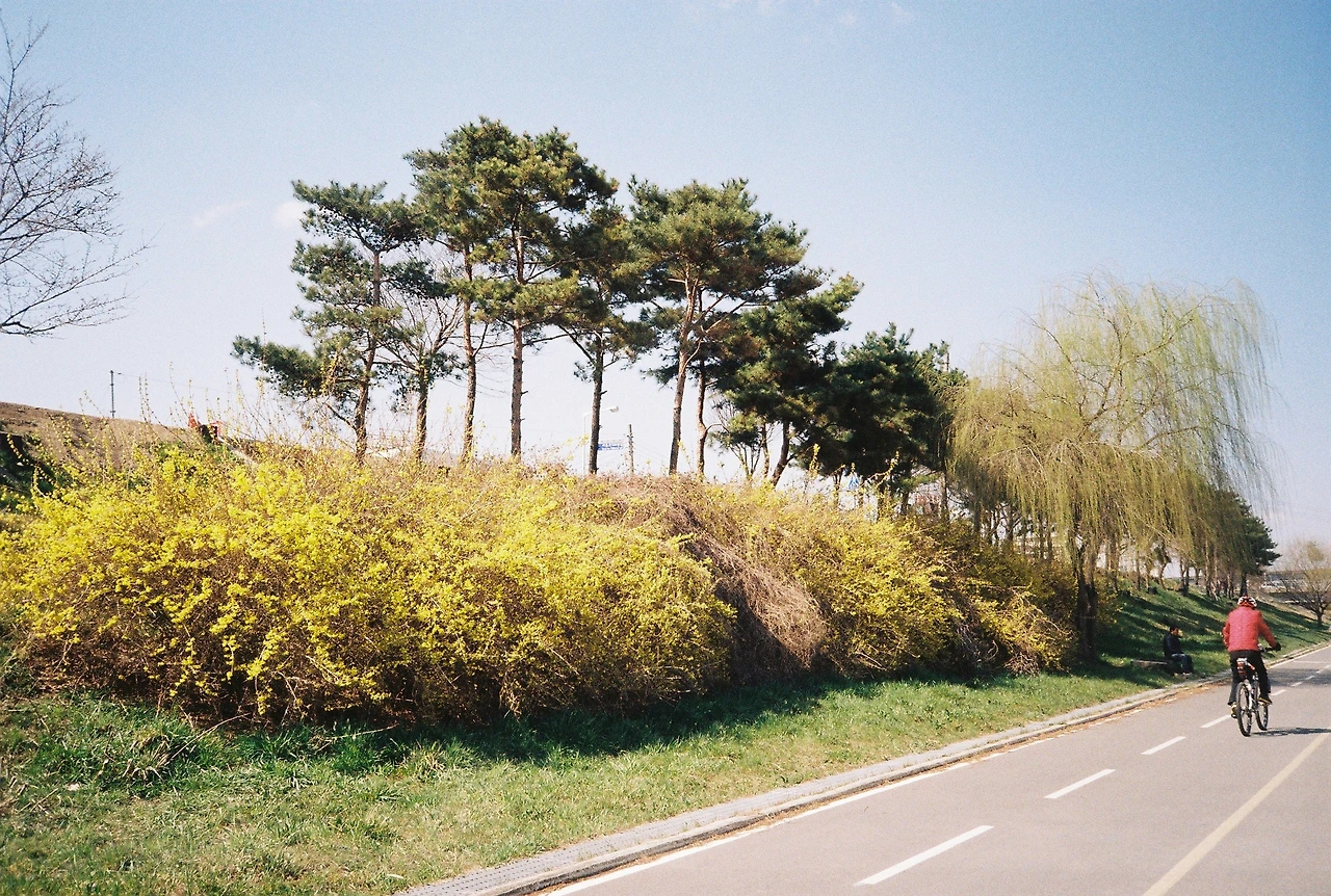 ~ 4월 7일 쯤 프로이미지100 (8).JPG