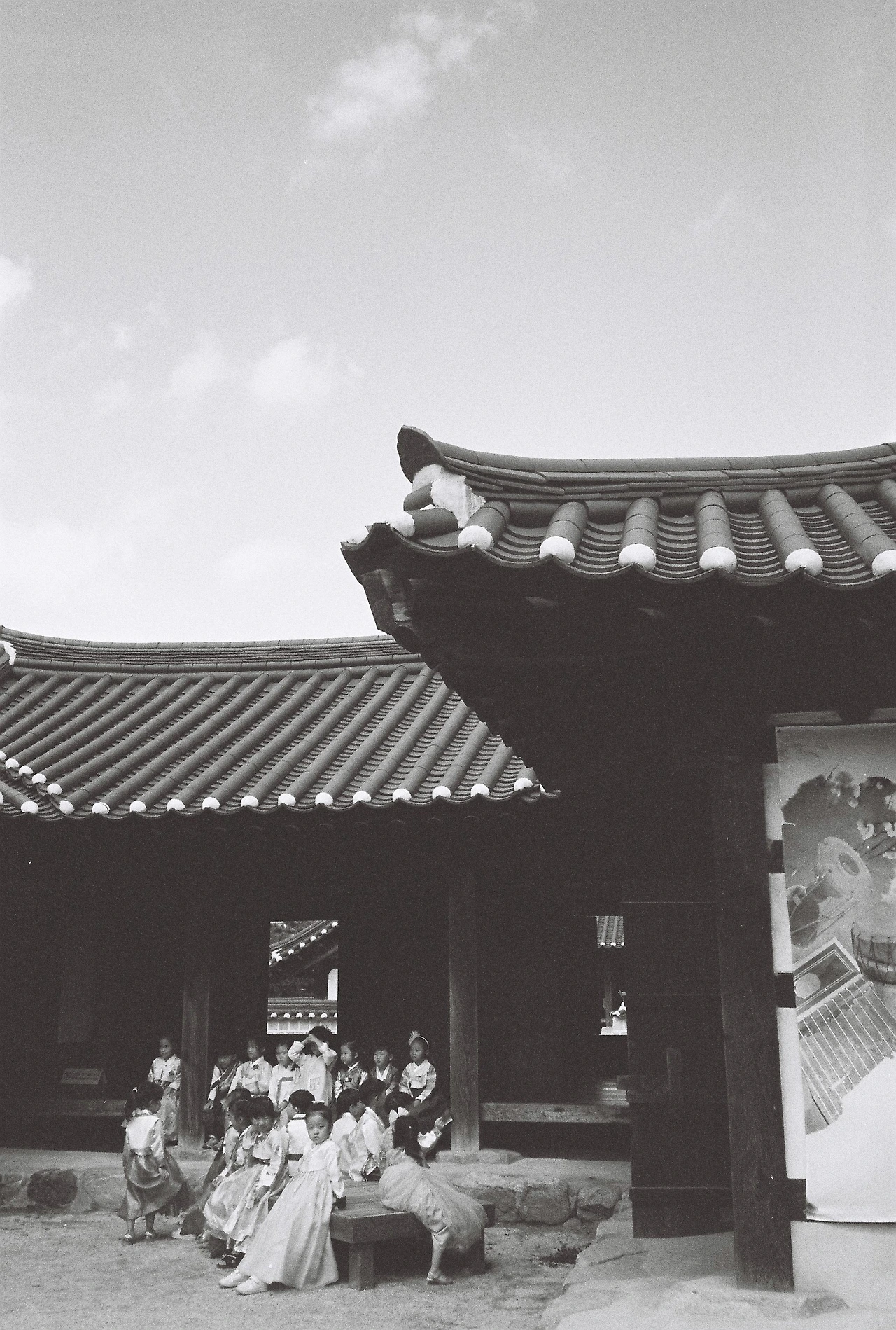 ~9월 10일 코닥 프로이미지 400 (3).JPG