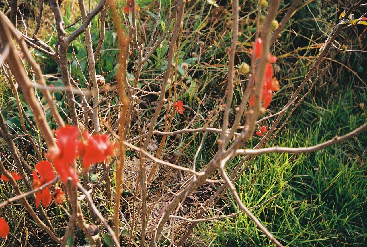 코닥200-1 (25).JPG