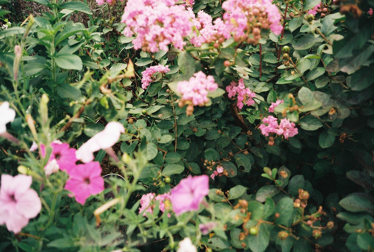 ~ 8월 20일 (3).JPG