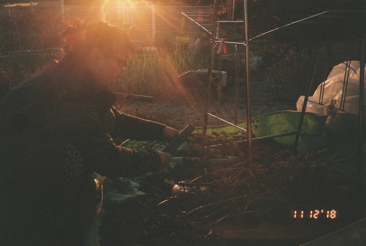 11월 13일 화요일 (2).JPG