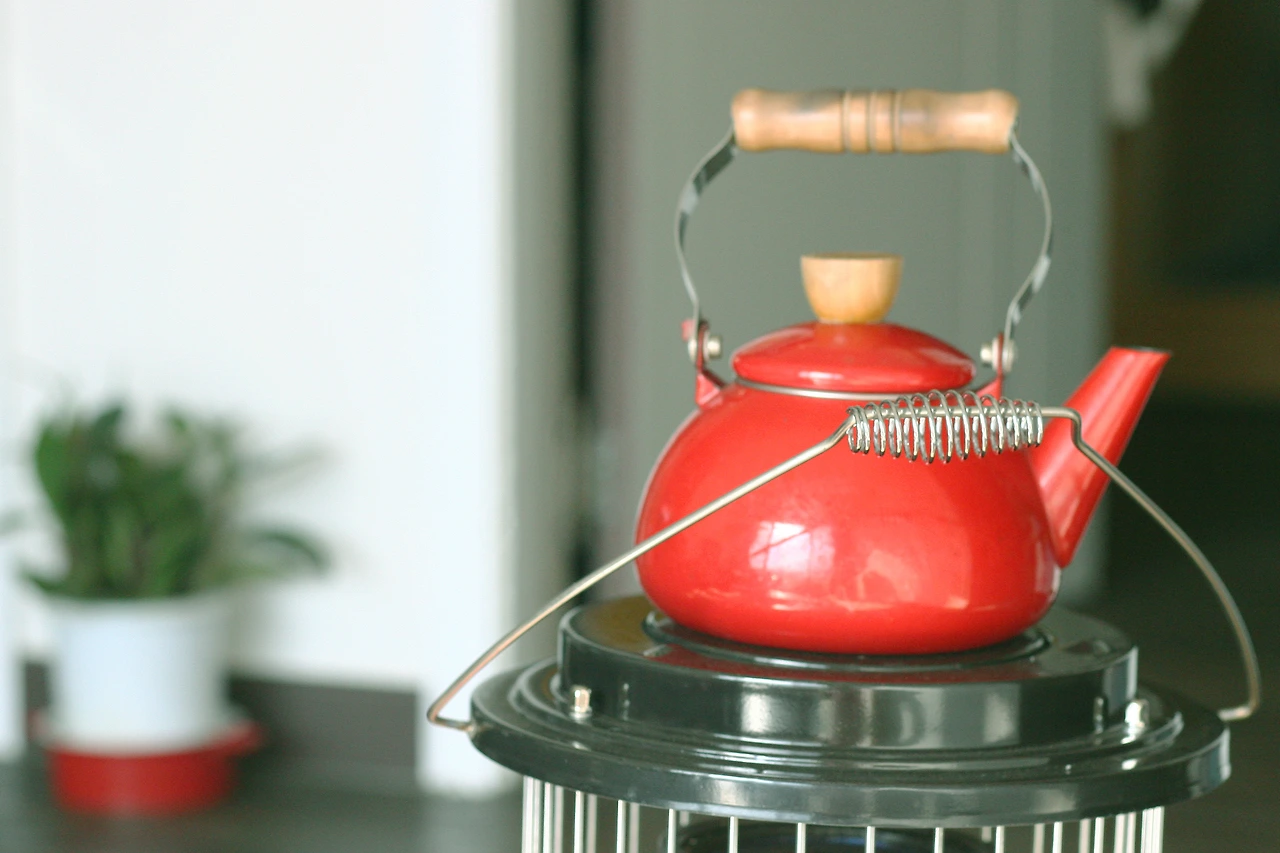 2월 6일 화요일 오후 3시.JPG