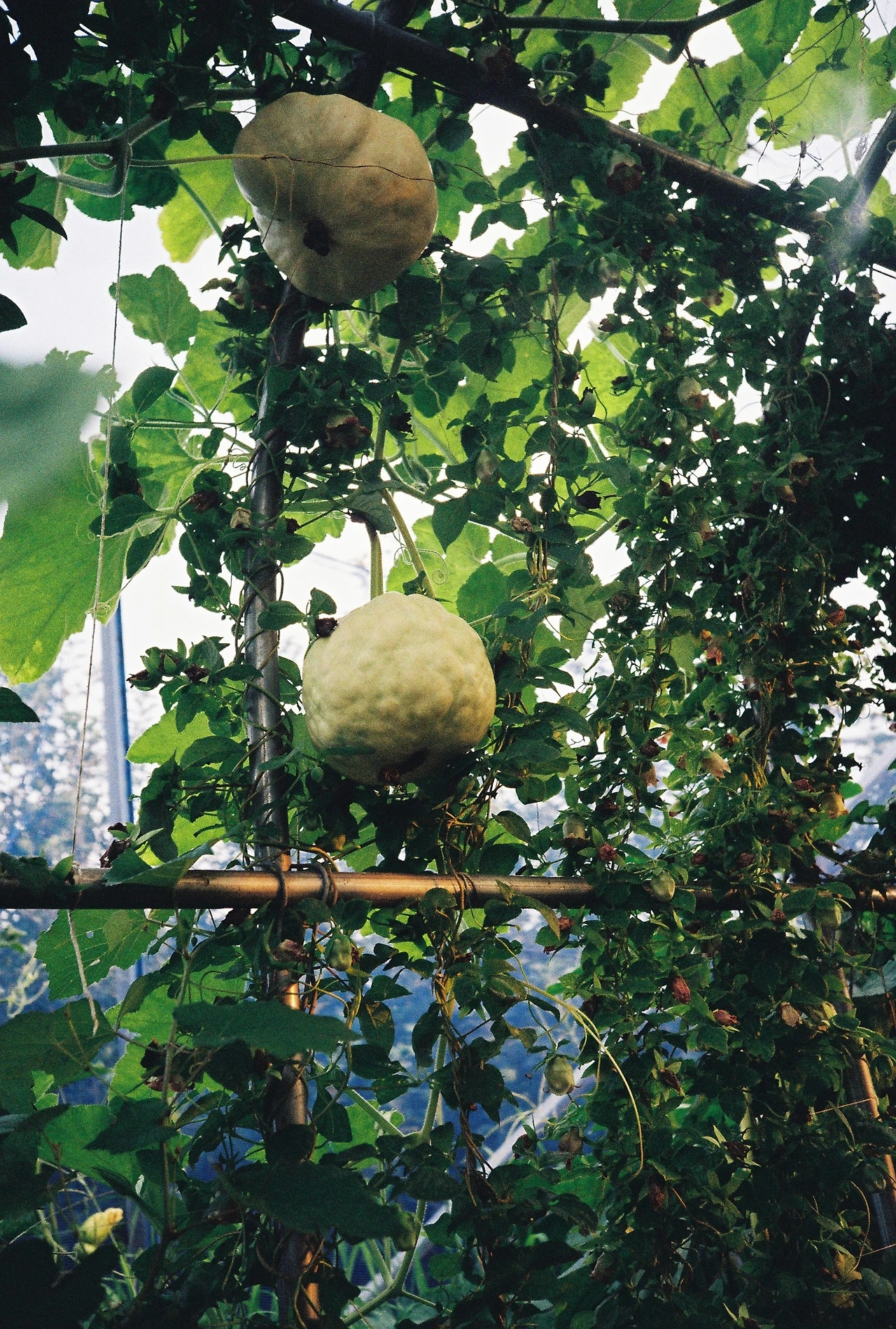 ~ 8월 20일 (14).JPG