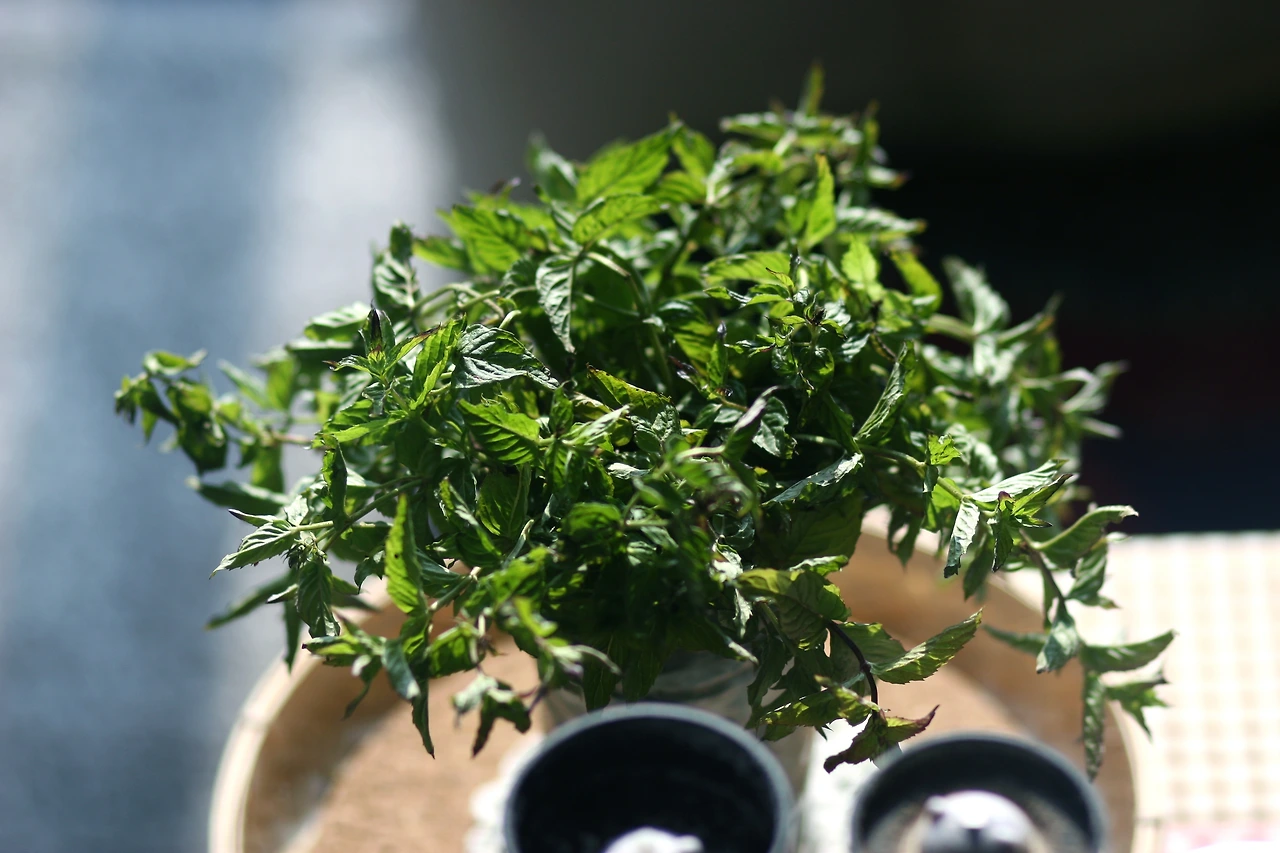 11월 19일 월요일 오후 2시 (1).JPG