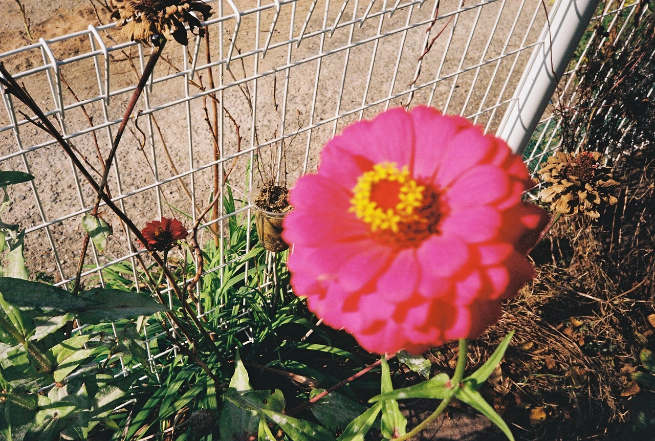 코닥200-1 (37).JPG