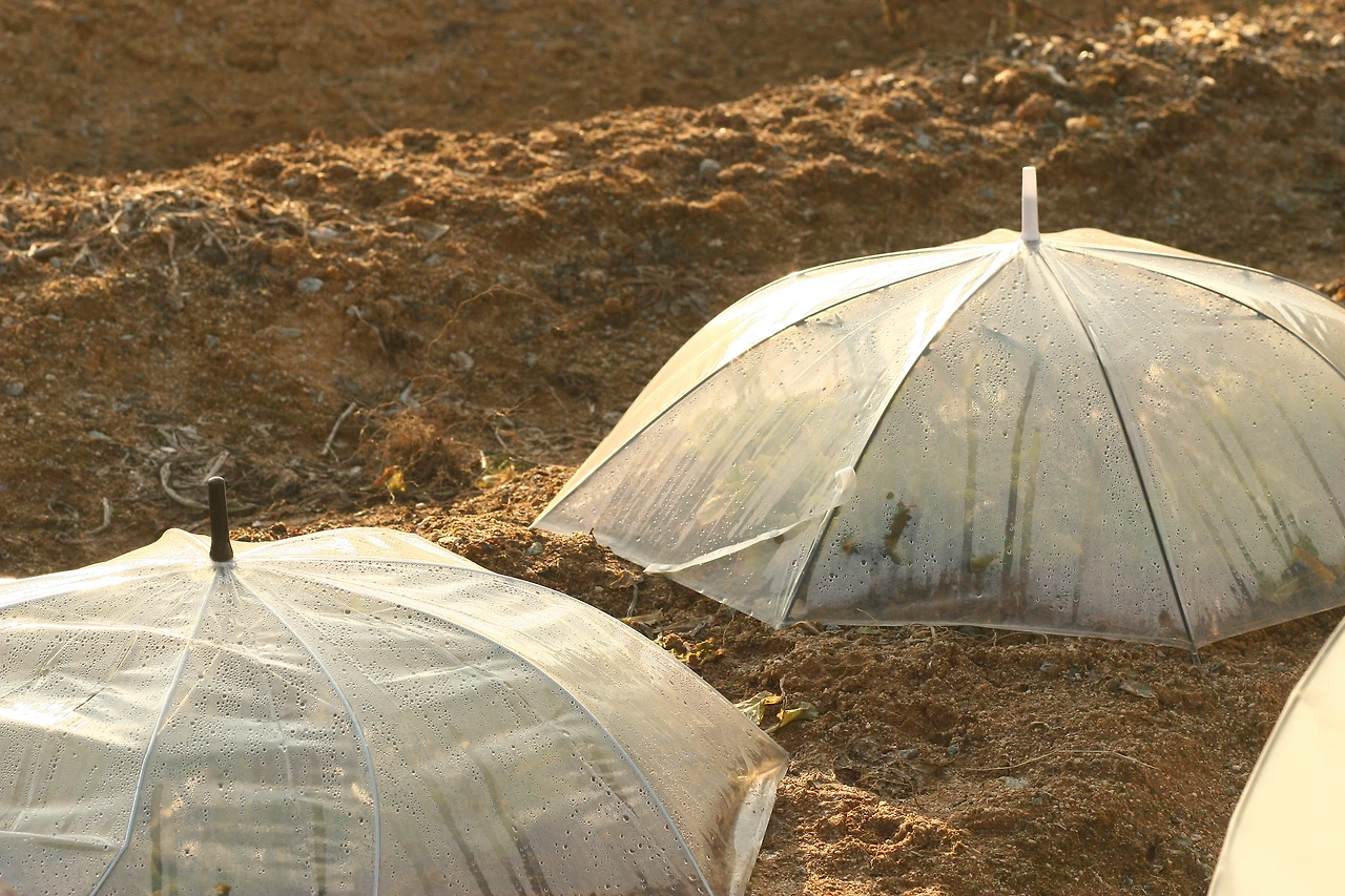 IMG_6432 - 복사본.JPG