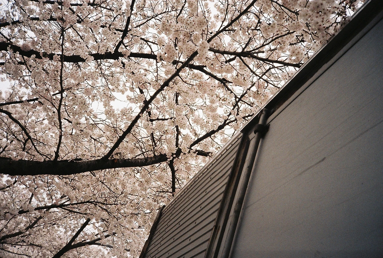 ~ 4월 7일 쯤 프로이미지100 (4).JPG