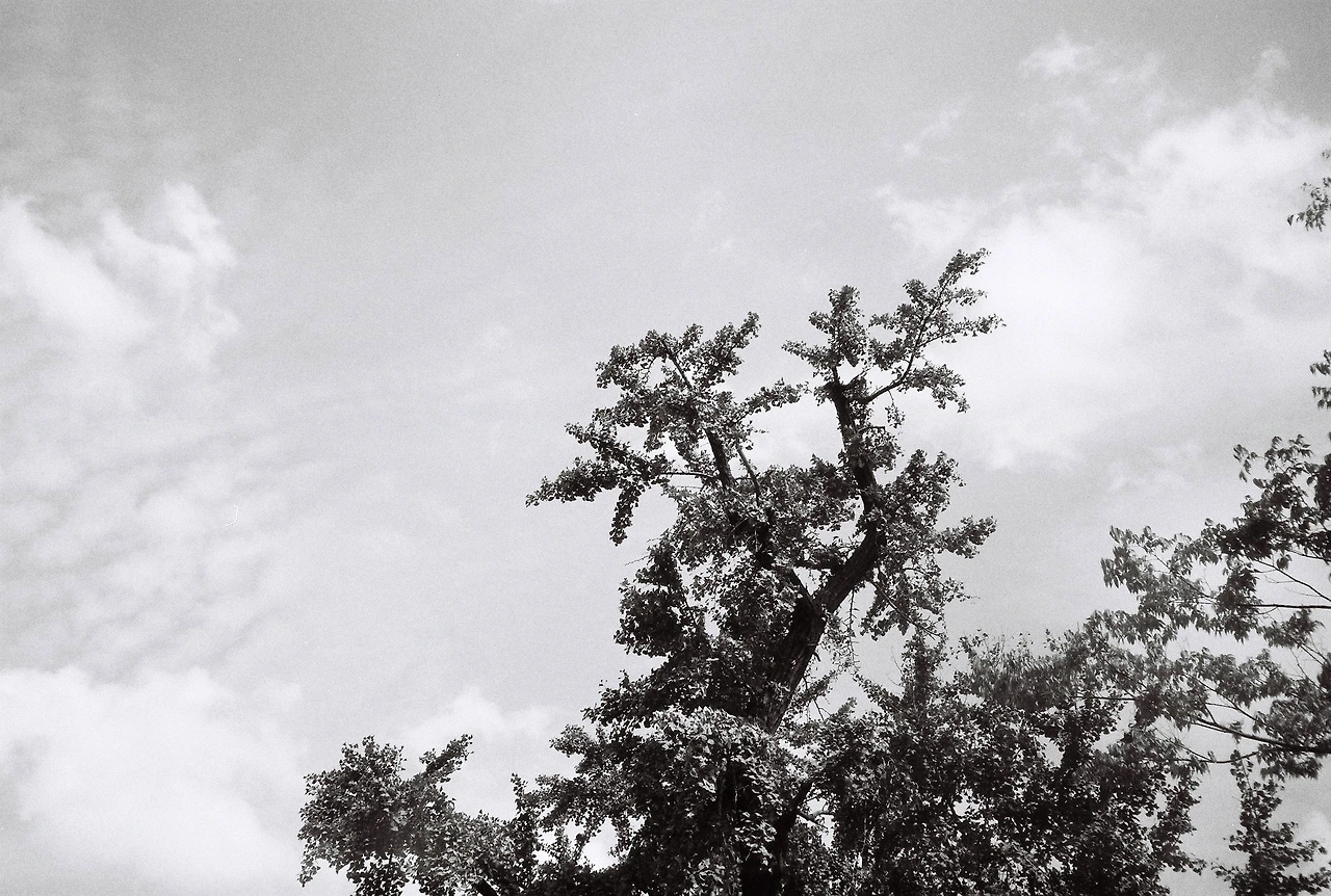 ~9월 17일 캔트미어 100 (4).JPG