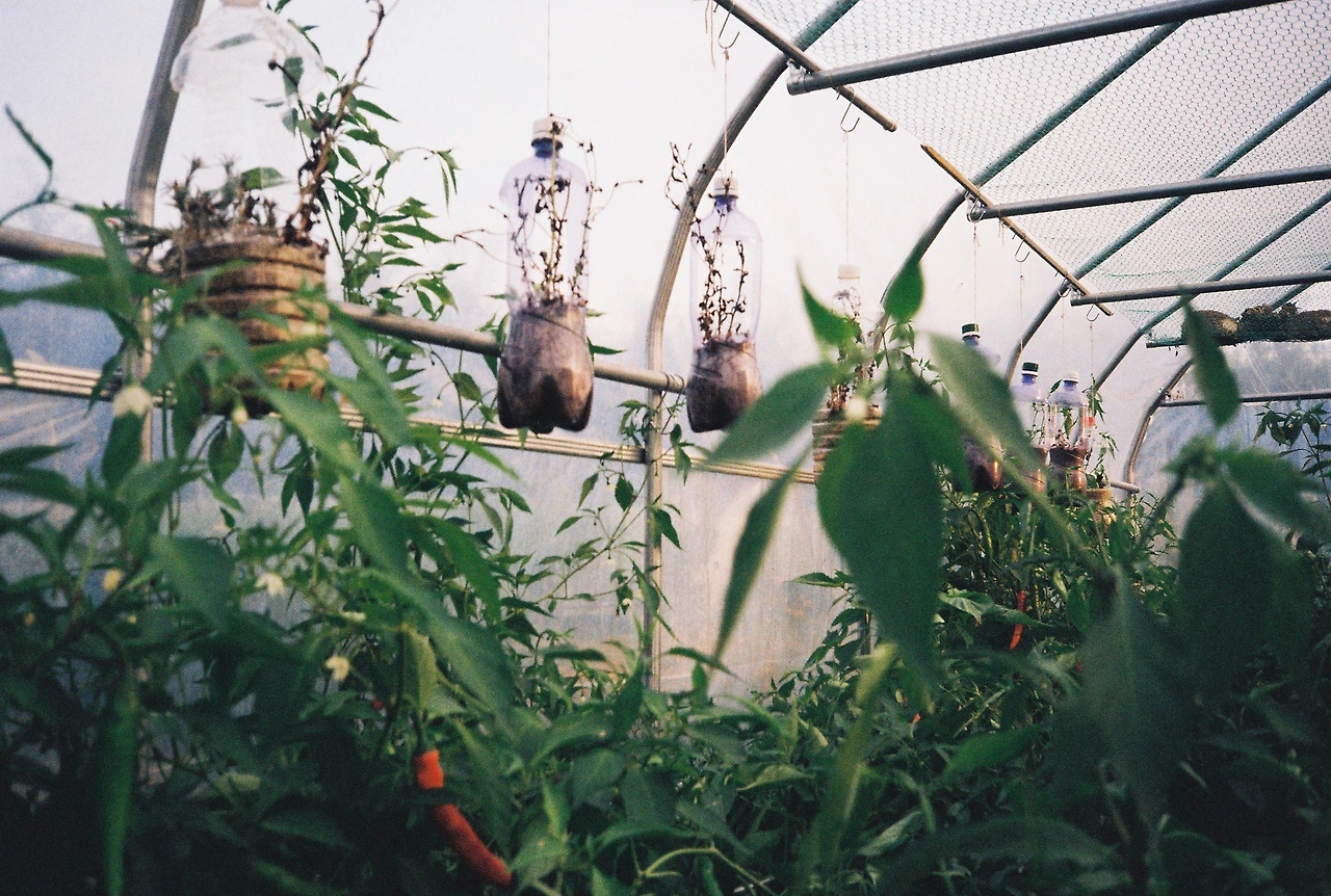 ~ 8월 20일 (4).JPG