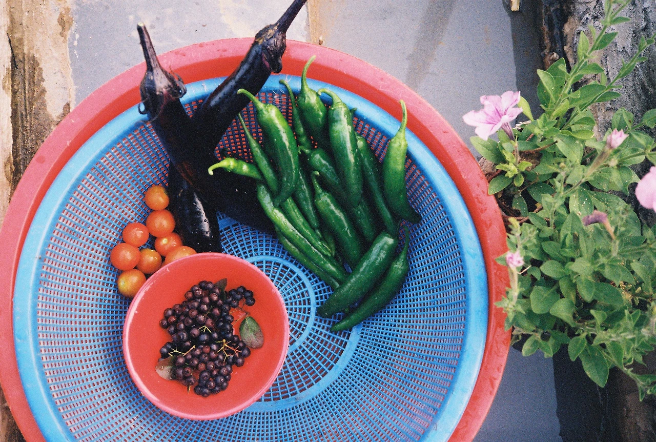 ~ 7월 22일 (11).JPG