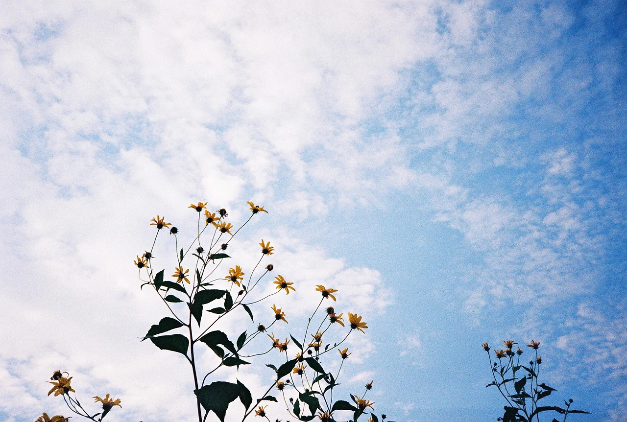 ~10월 8일 코닥 200 (24).JPG