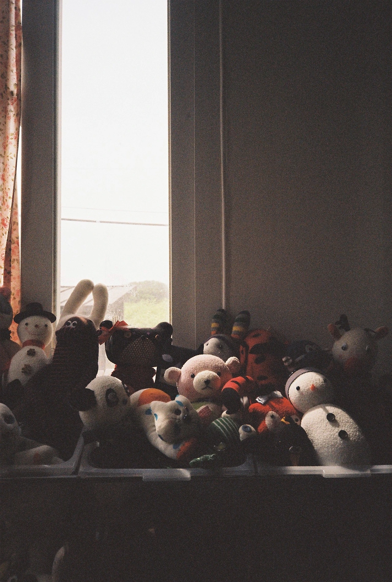 ~ 5월 1n일 코닥200_1롤 (3).JPG