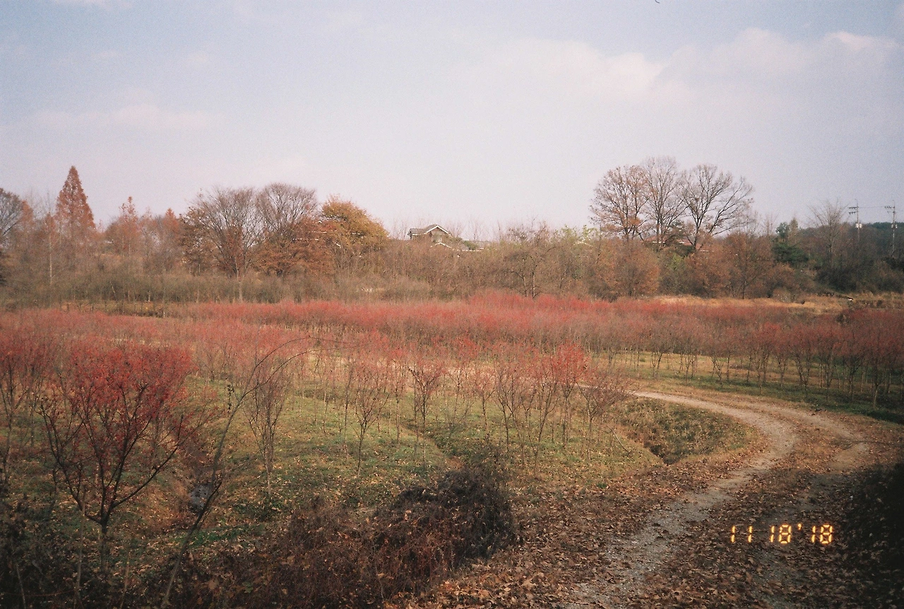 11월 19일 월요일 오후 1시 (8).JPG